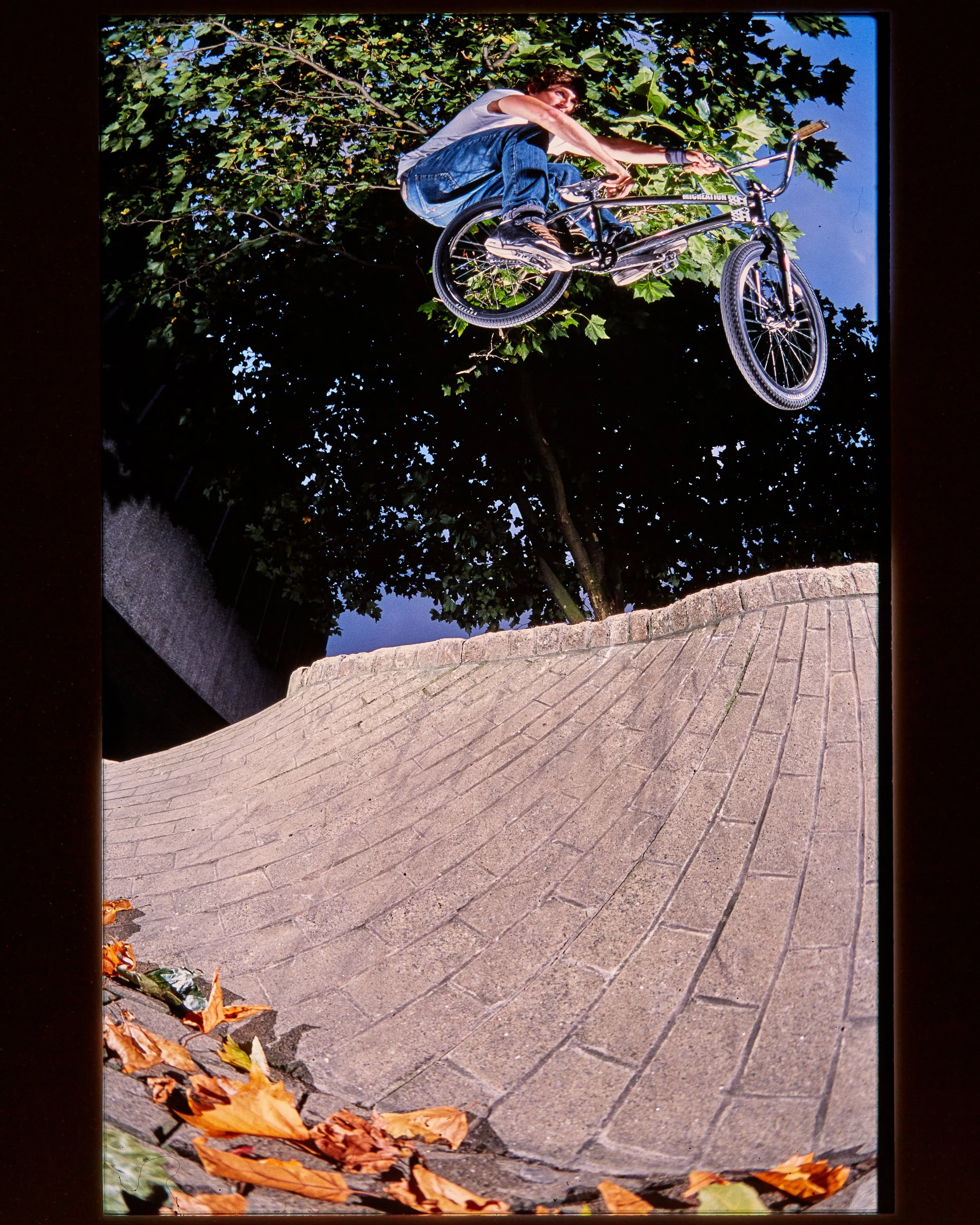 Ian Schwartz2873.jpg