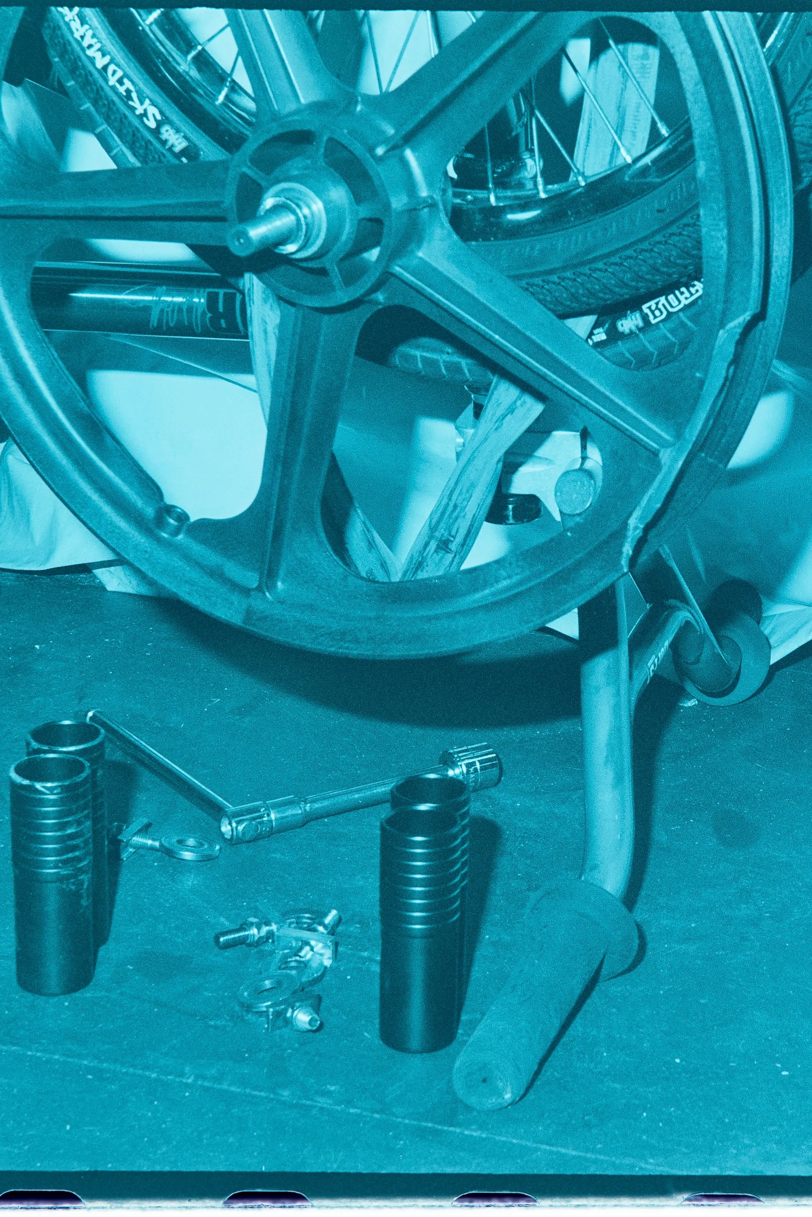 Backyard Telford3353-2.jpg