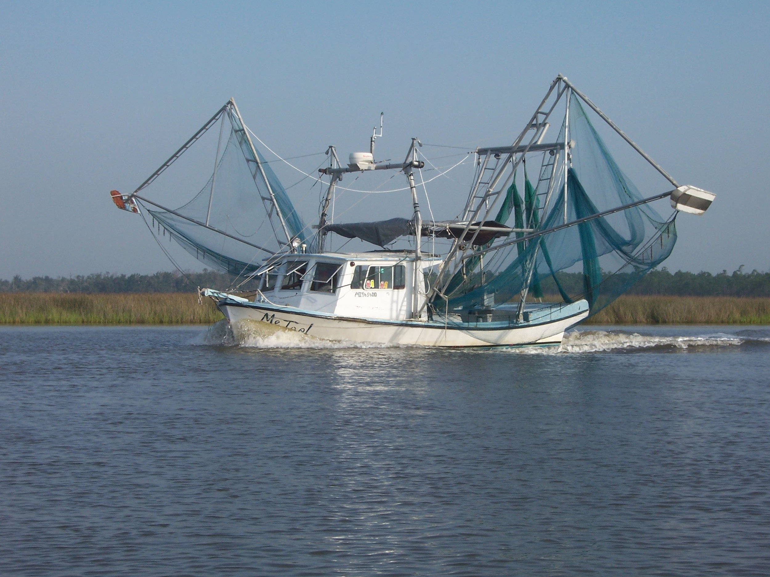 Fishing the Gulf (D. Orrest)