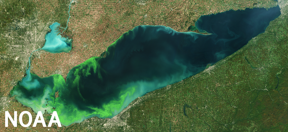 Lake Erie's Algal Blooms (NOAA Images)