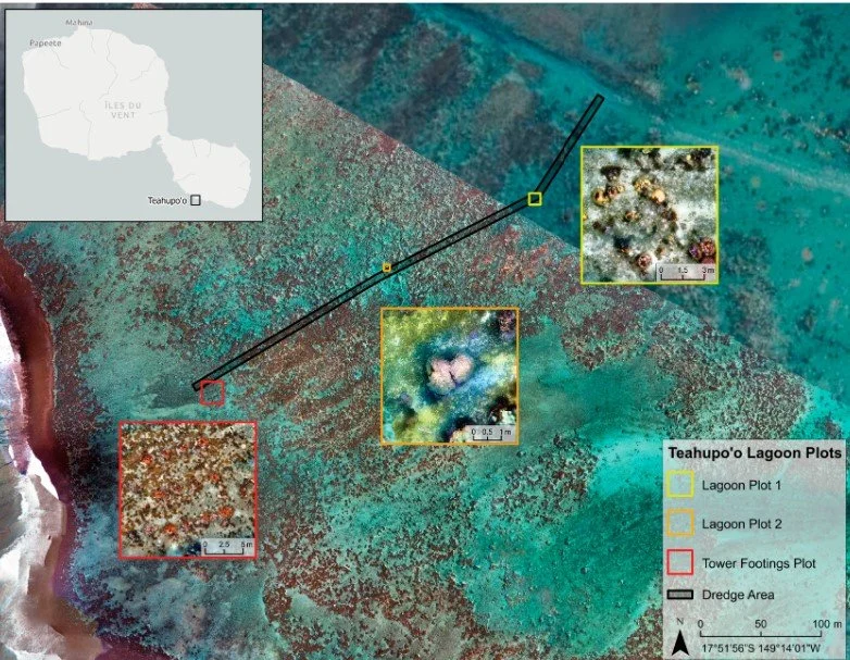 Community-Based Monitoring for Rapid Assessment of Nearshore Coral Reefs Amid Disturbances in Teahupoʻo. Tahiti.