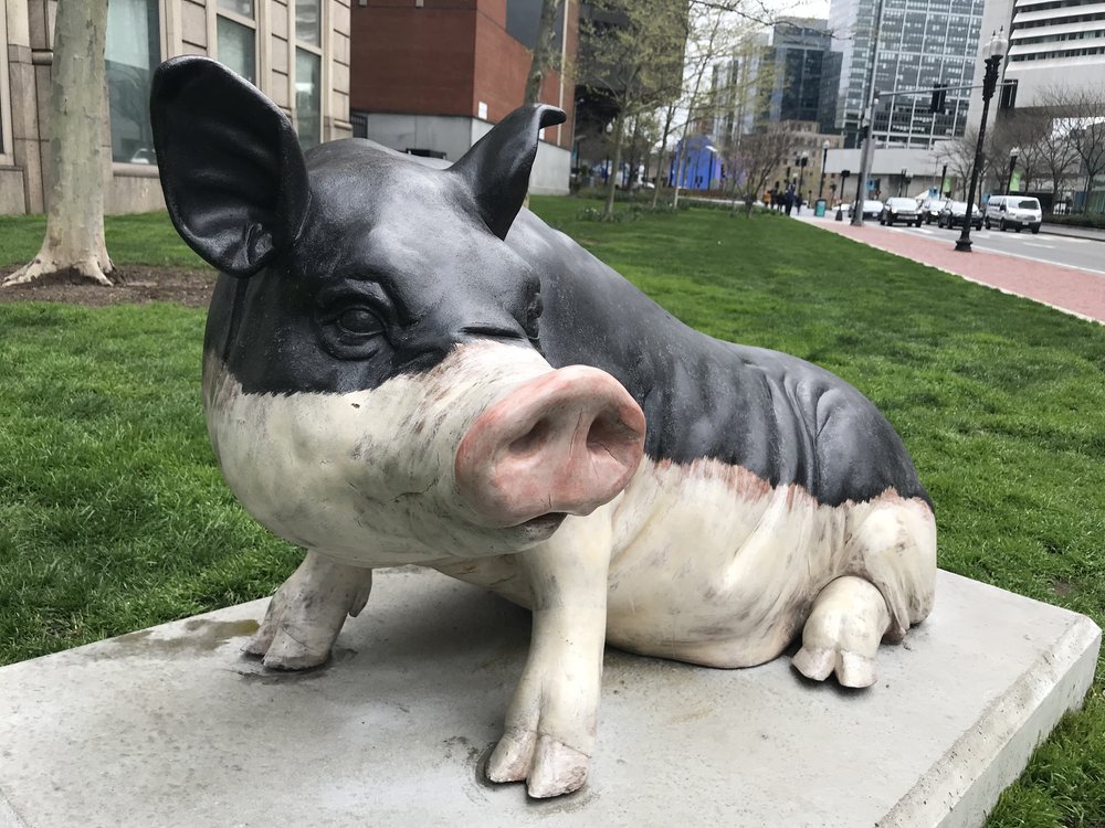  Elliott Kayser,  Year of the Pig , 2019 