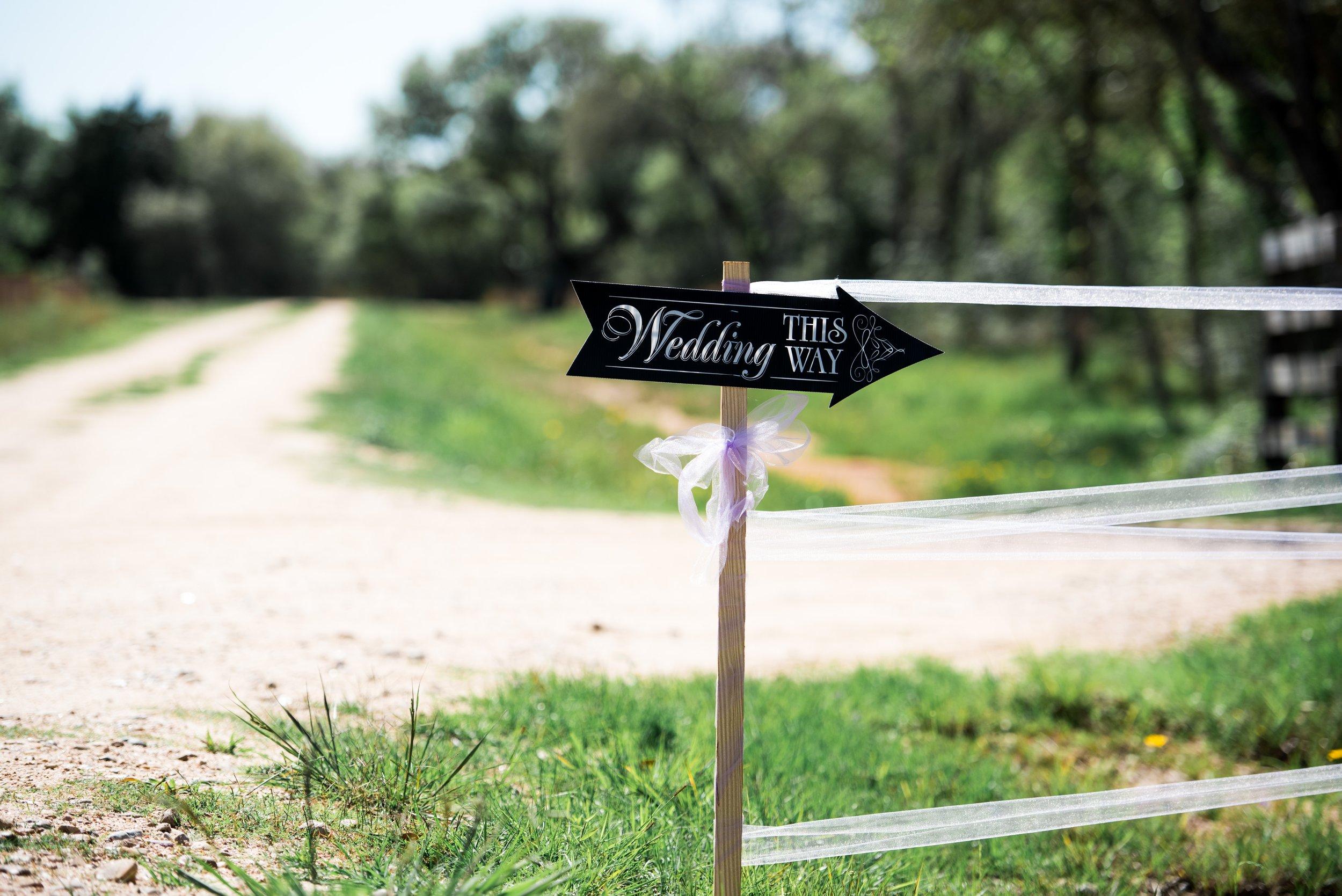 Wedding-32.jpg