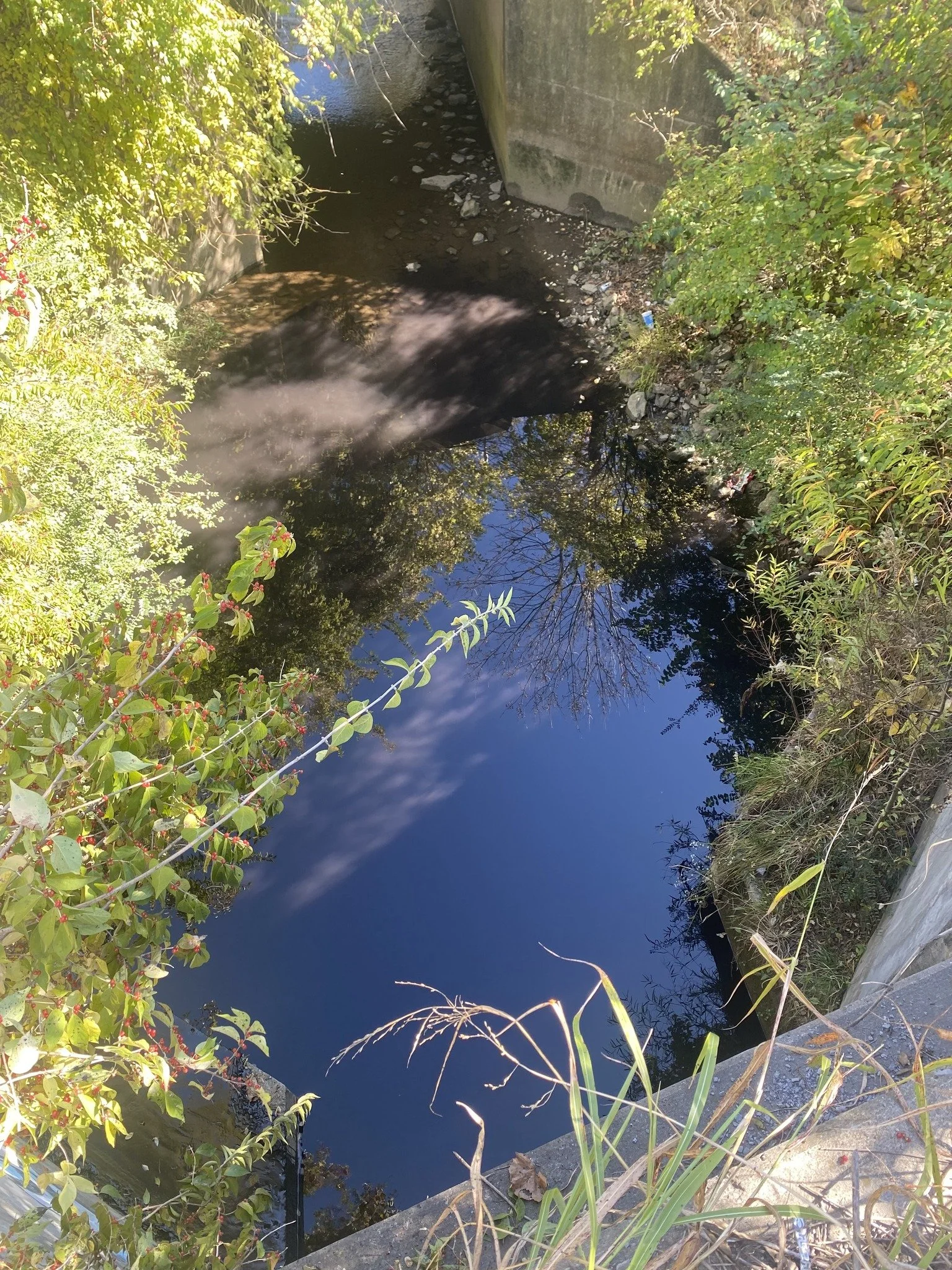 Enviro Medics Restores Creek After Asphalt Sealant Spill on Business Property