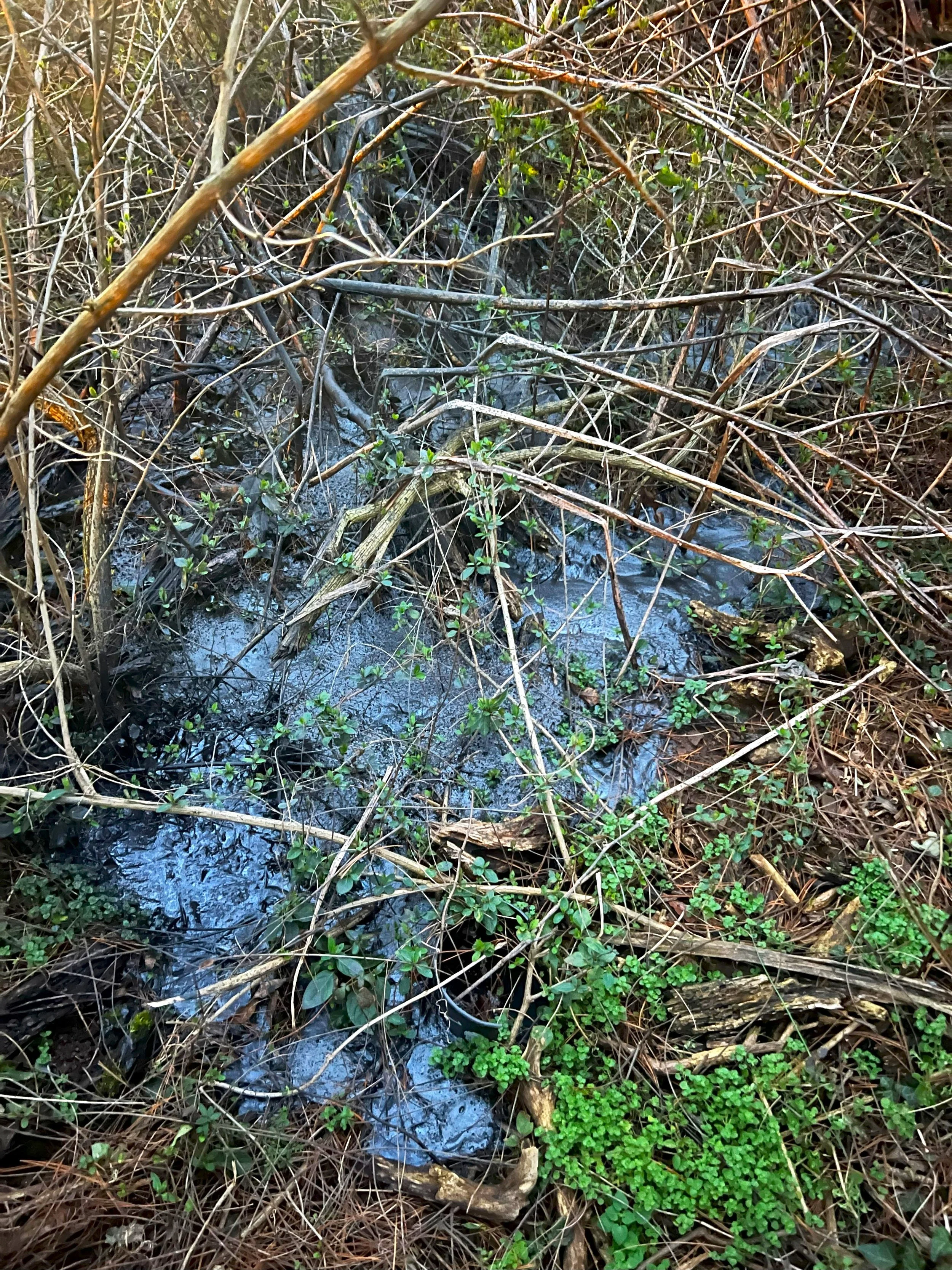 Environmental response operations addressing an asphalt sealer release impacting soil, vegetation, and drainage pathways. Containment and remediation efforts focused on preventing further migration, protecting nearby waterways, and supporting environ