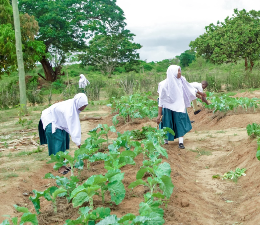 Water as a source of Knowledge and Nutrition at Mandwanga Secondary School