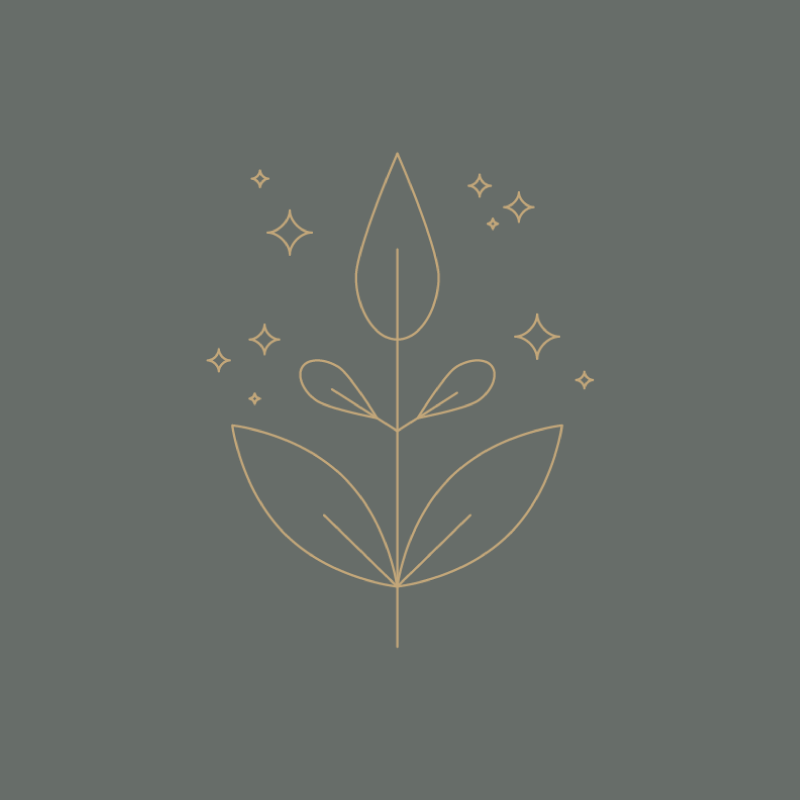 Brand-Design-for-Naturopathic-Medicine-Doctor.png