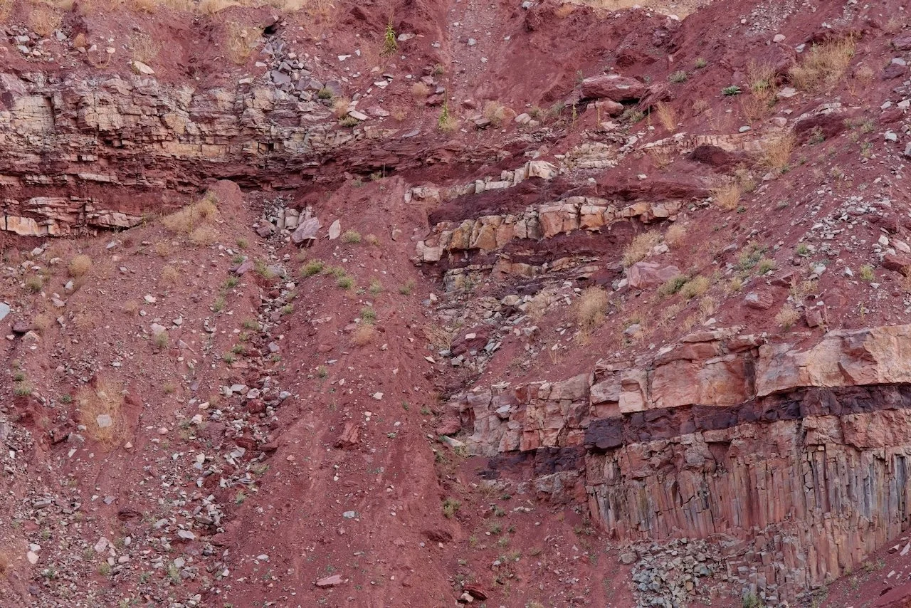 WA905124-on1-2024-10-18.jpeg