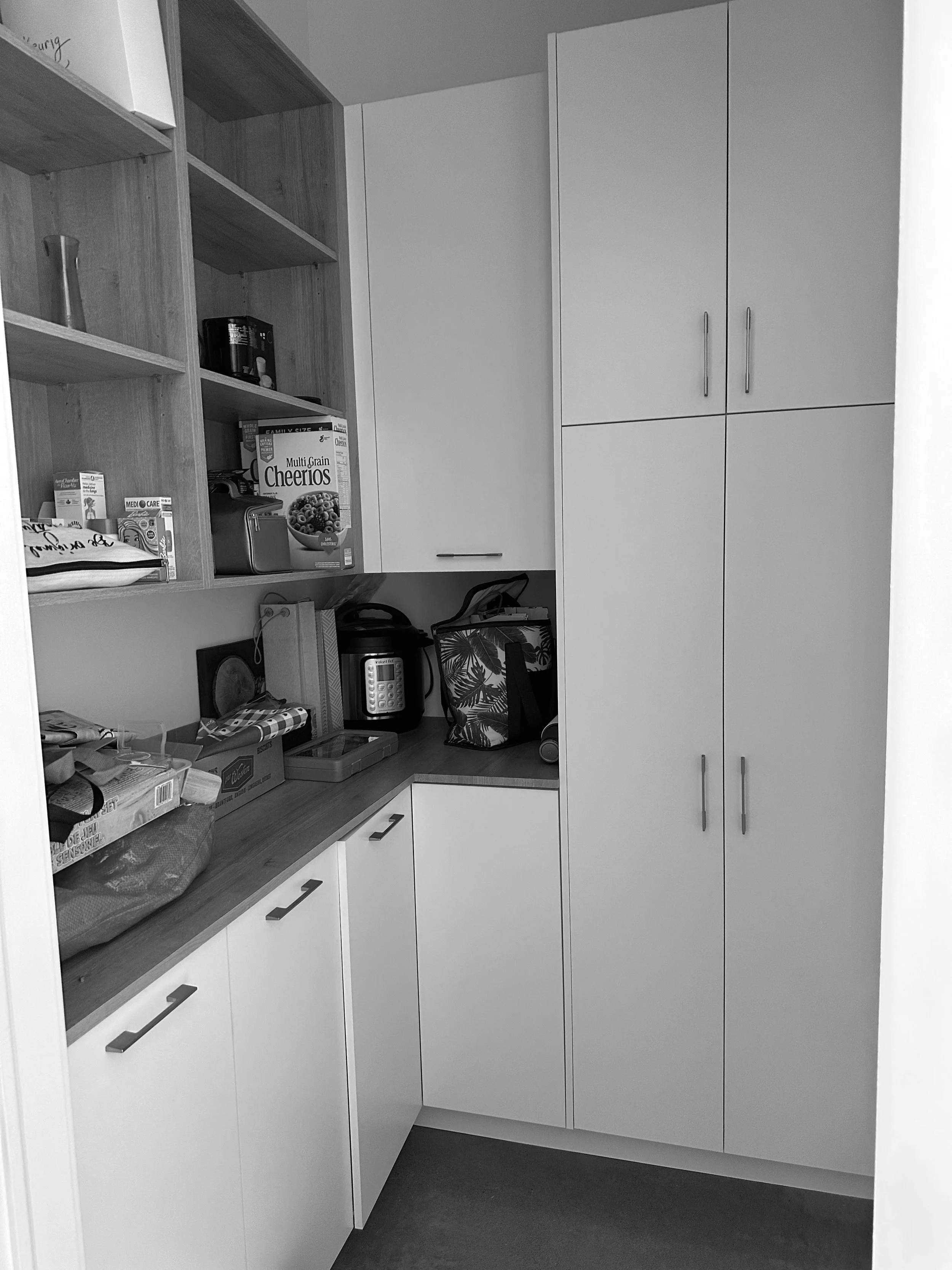 BEFORE - pantry (no organization system in place)