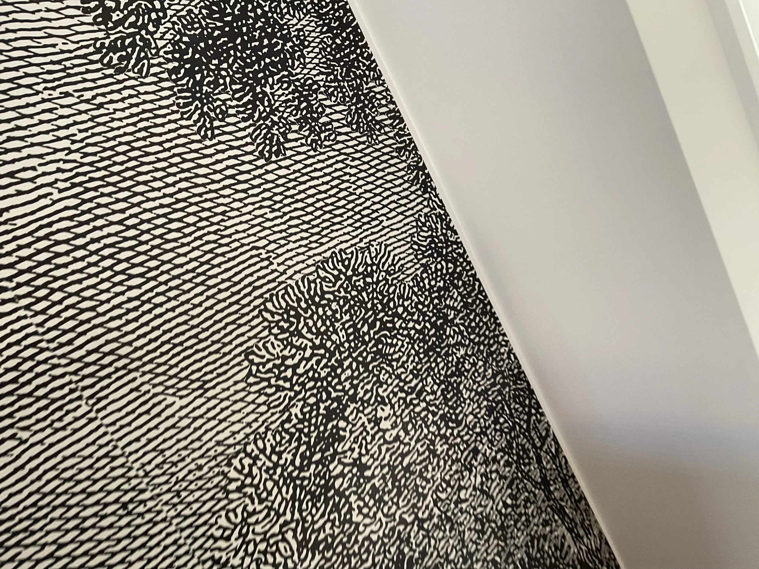 AFTER | Such a beautiful etched print - so unique