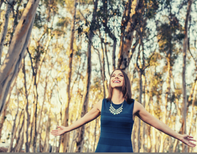 Curriculum Creation for Beliefseed