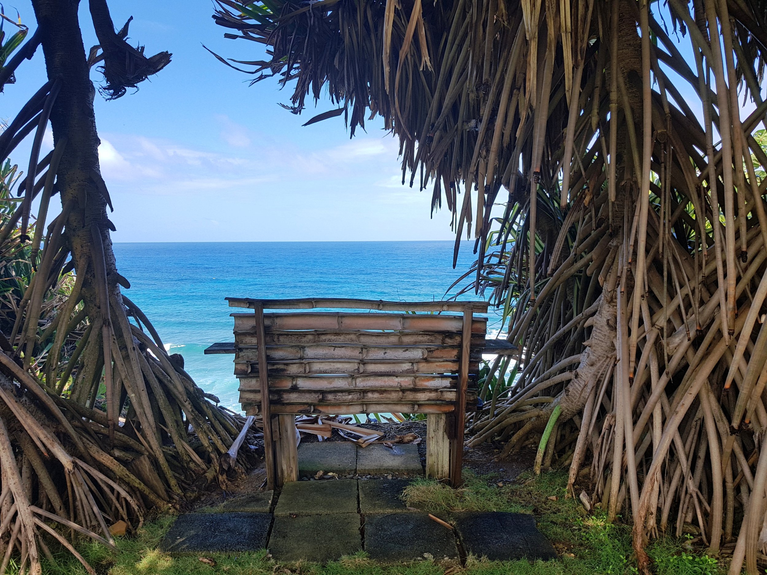 bamboo bench.JPG