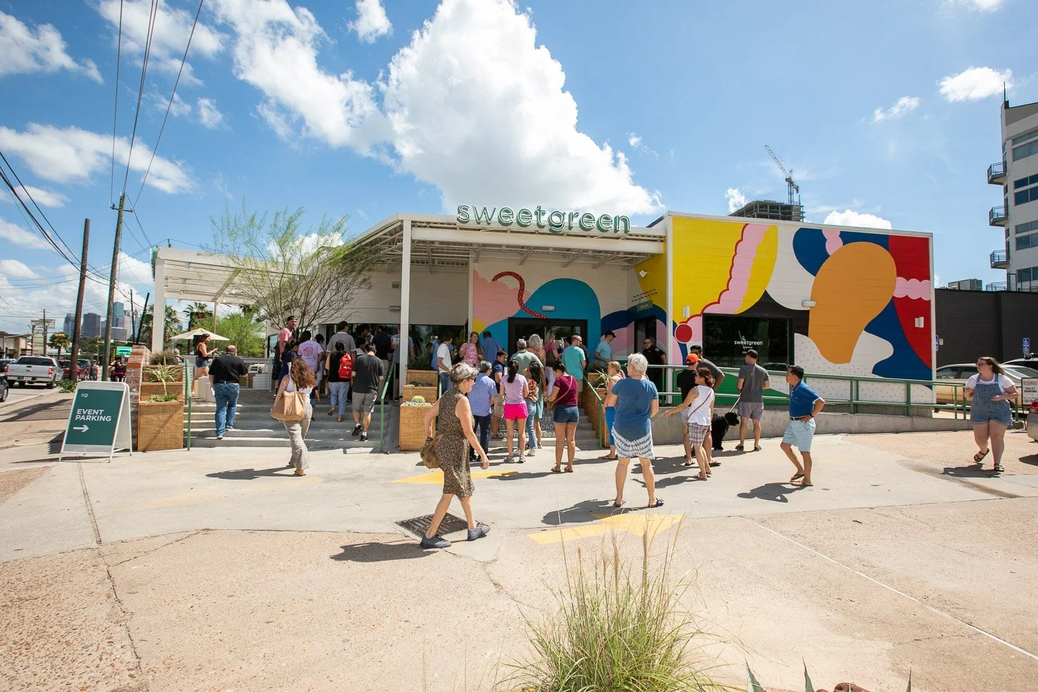sweetgreen_web_trish_badger-2844.jpg