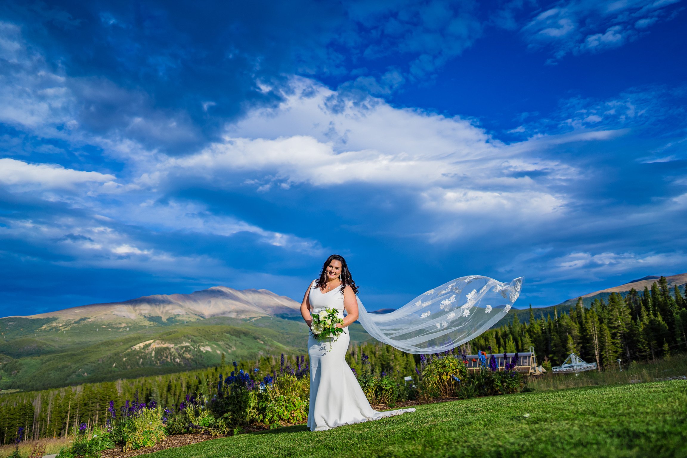 mitravis0498 (1).JPG