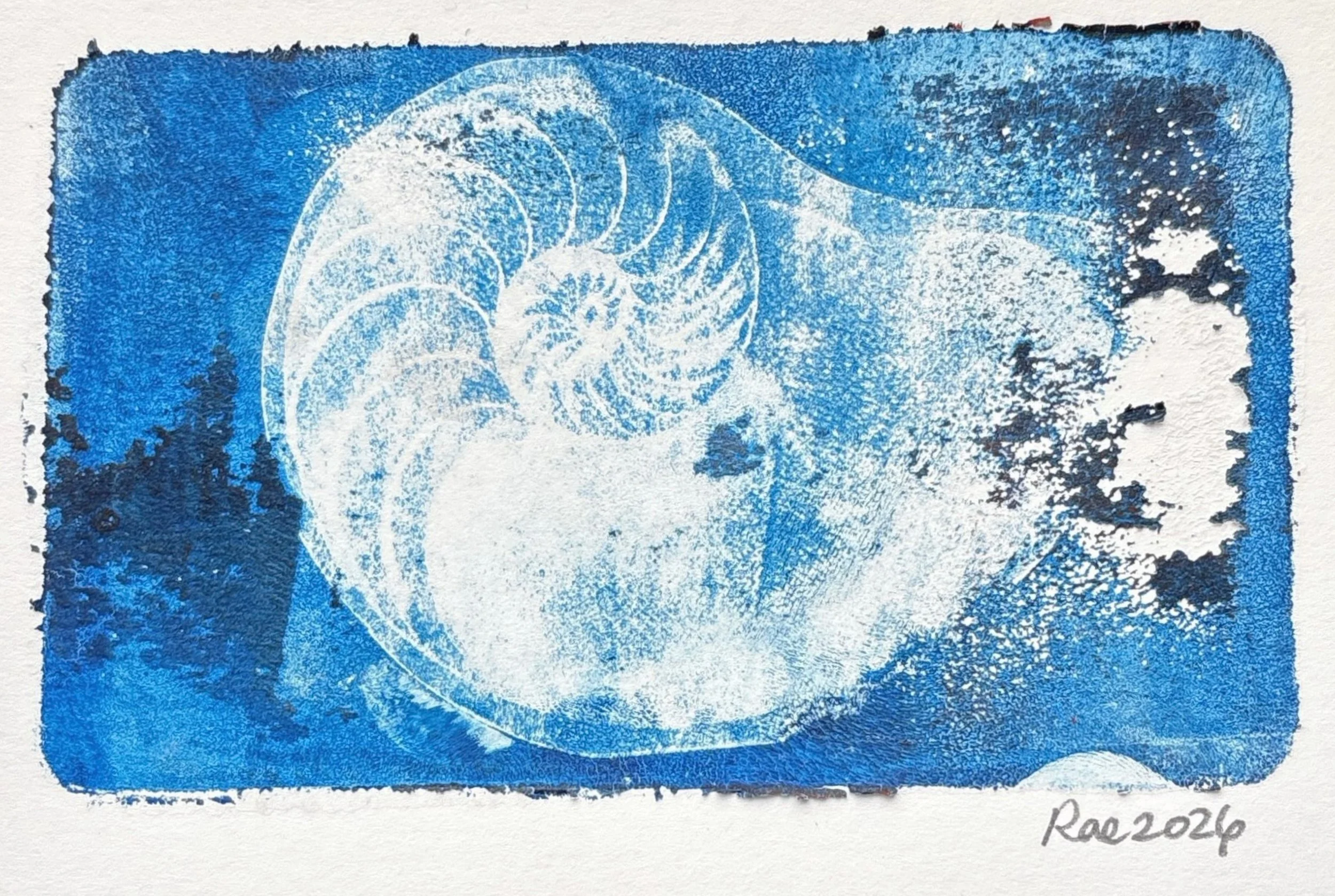 blue rectangular monoprint with image transfer of a nautilus shell in the center
