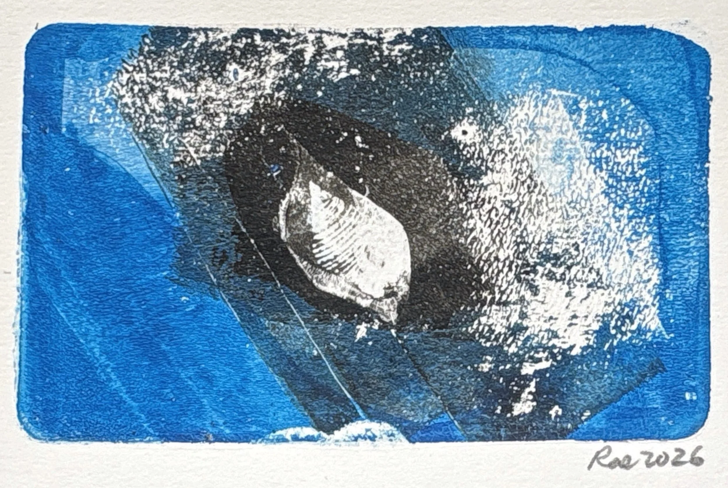 blue rectangular monoprint with black overlay in the center revealing a small conch shaped shell in the middle, with whitish area nearby suggesting a fish