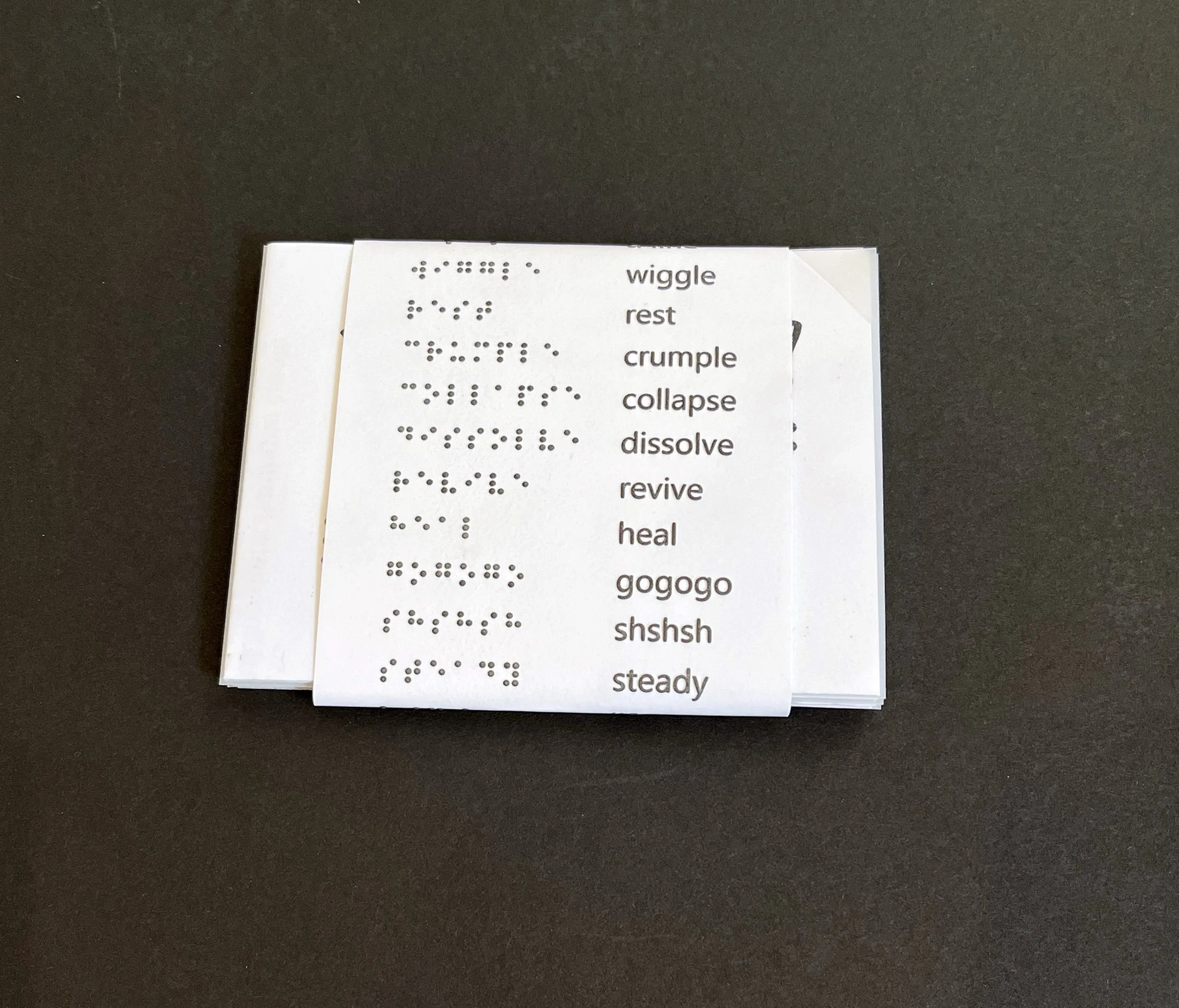 Postcard size zine packaged in a wrapper with Braille words.