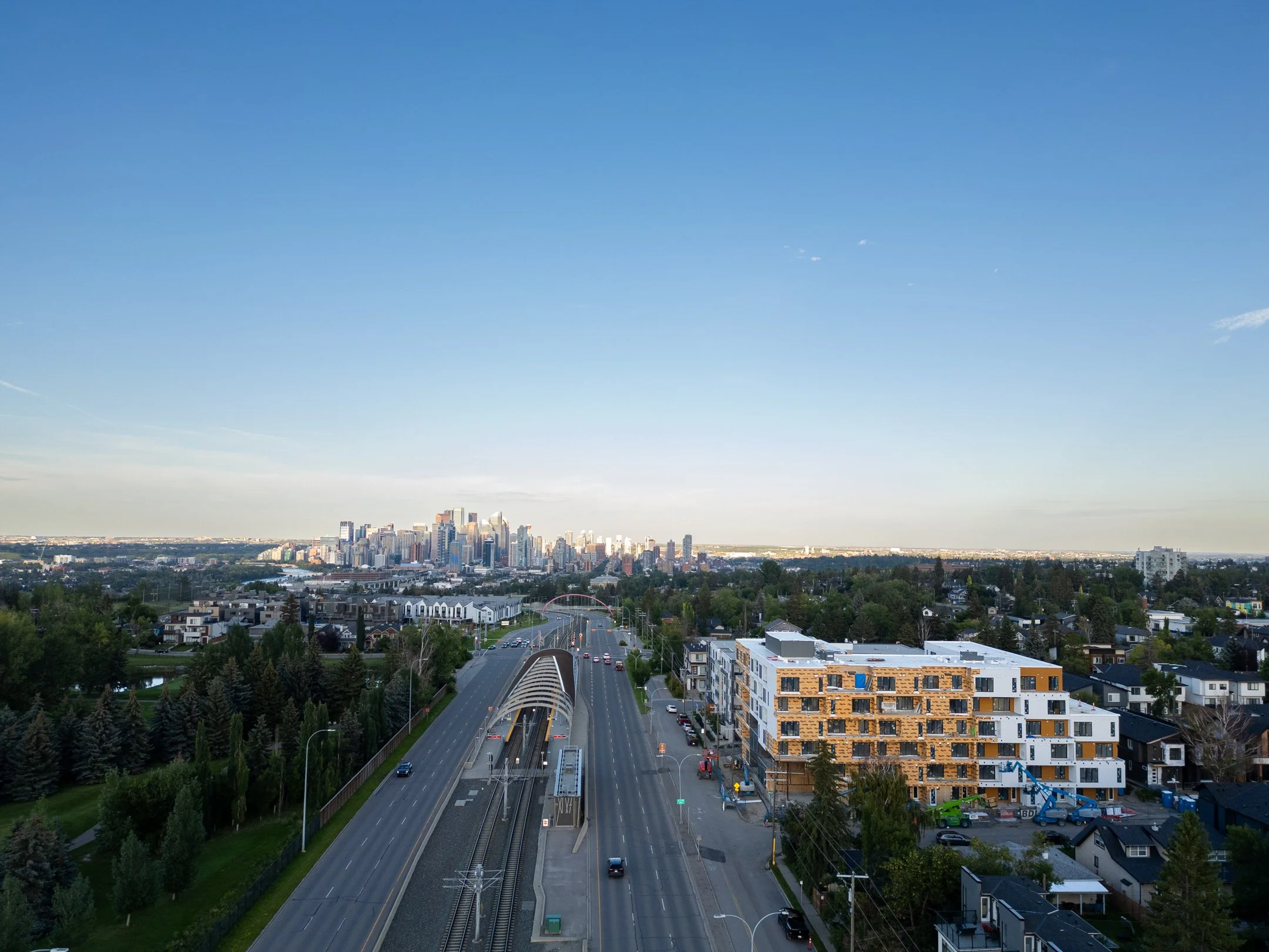 2025.08.12 - Shag - Web Res-1.jpg