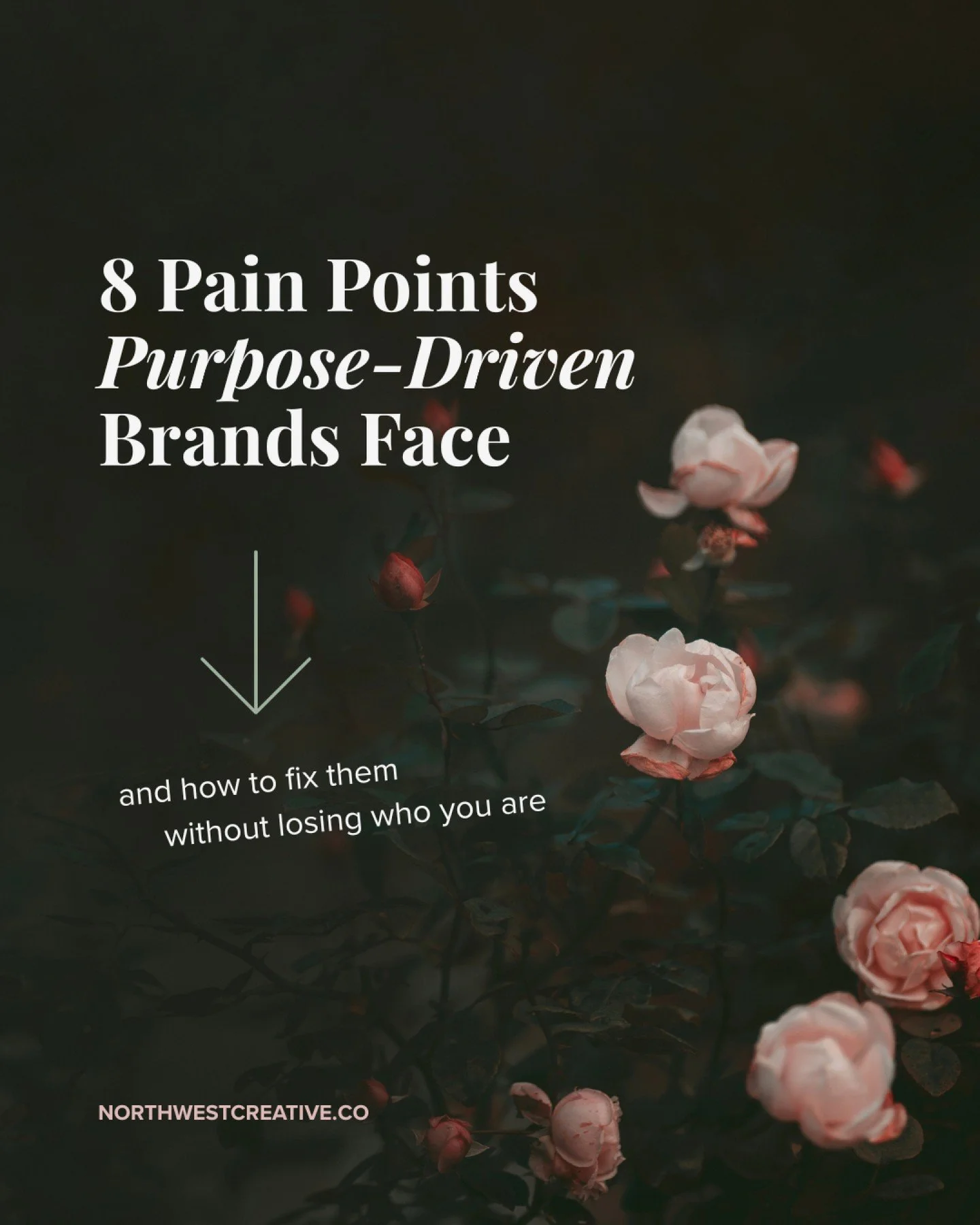 Happy Fri-yay! Not to bring down the good vibes and talk about pain points, but it's time for a little truth-telling: even the most mission-minded brands hit marketing roadblocks.
Purpose-driven small businesses often struggle with the same challeng