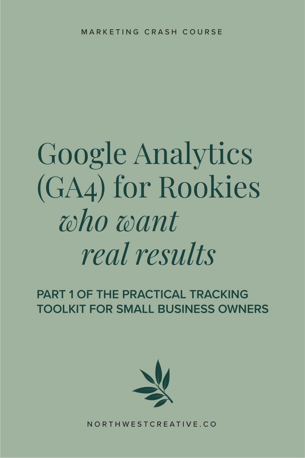 Google Analytics (GA4) for Rookies Who Want Real Results