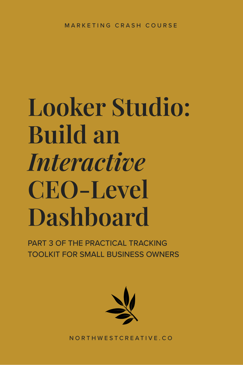 Looker Studio: Build an Interactive CEO-Level Dashboard