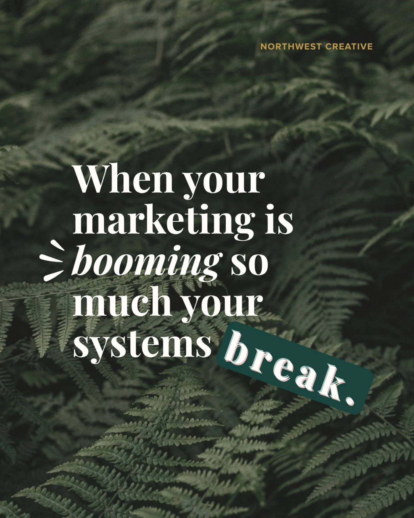 Your marketing finally started working? Awesome!

You are probably seeing more inquiries come in and your calendar filling up. And somehow, everything feels harder instead of easier.

I see this all the time with businesses who are reaching their nex