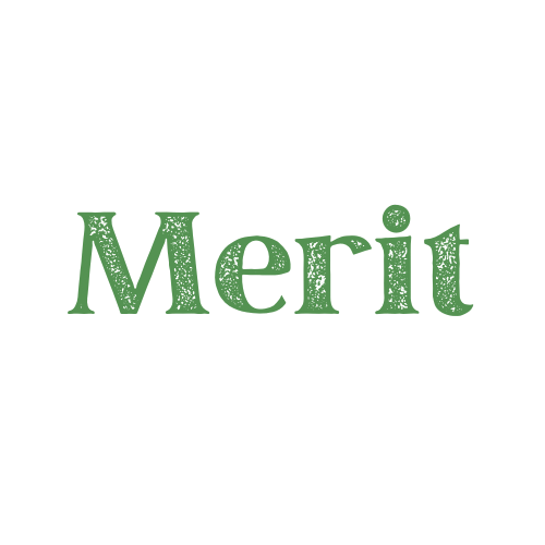 Merit Media Inc.