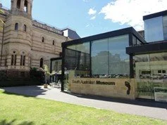 South Australia Museum Social Script