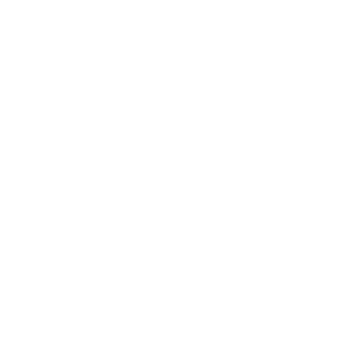 Dynamic Performance Training