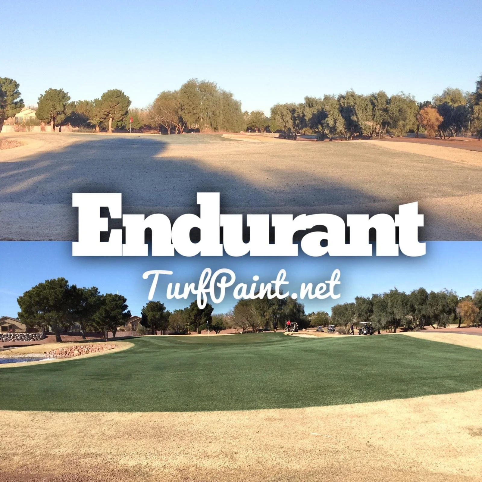 Endurant Turf Paint — Earth Chemistries Exclusive Australian Provider