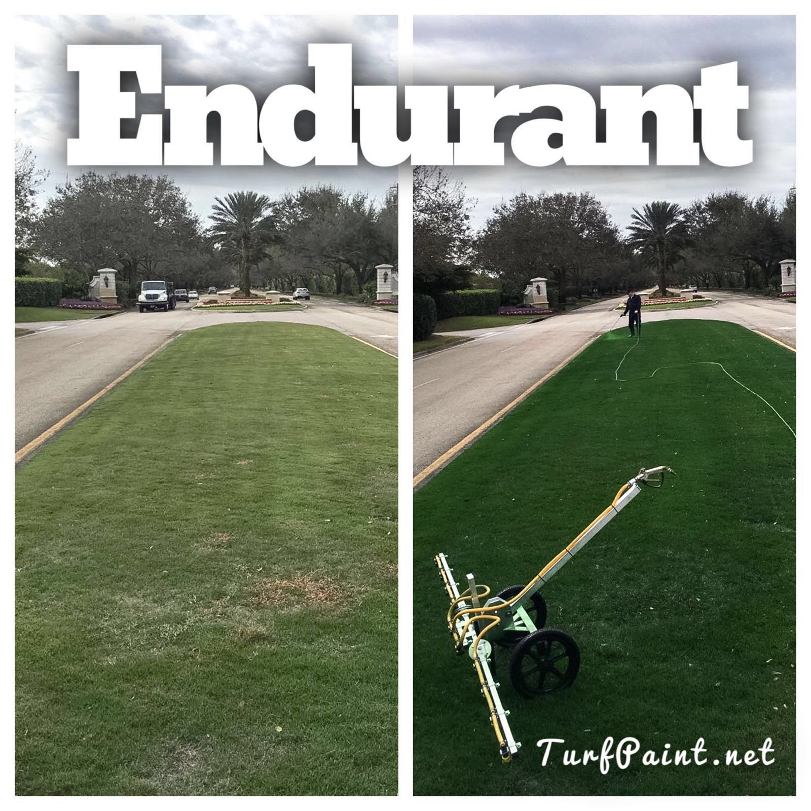 endurant fairway.jpeg