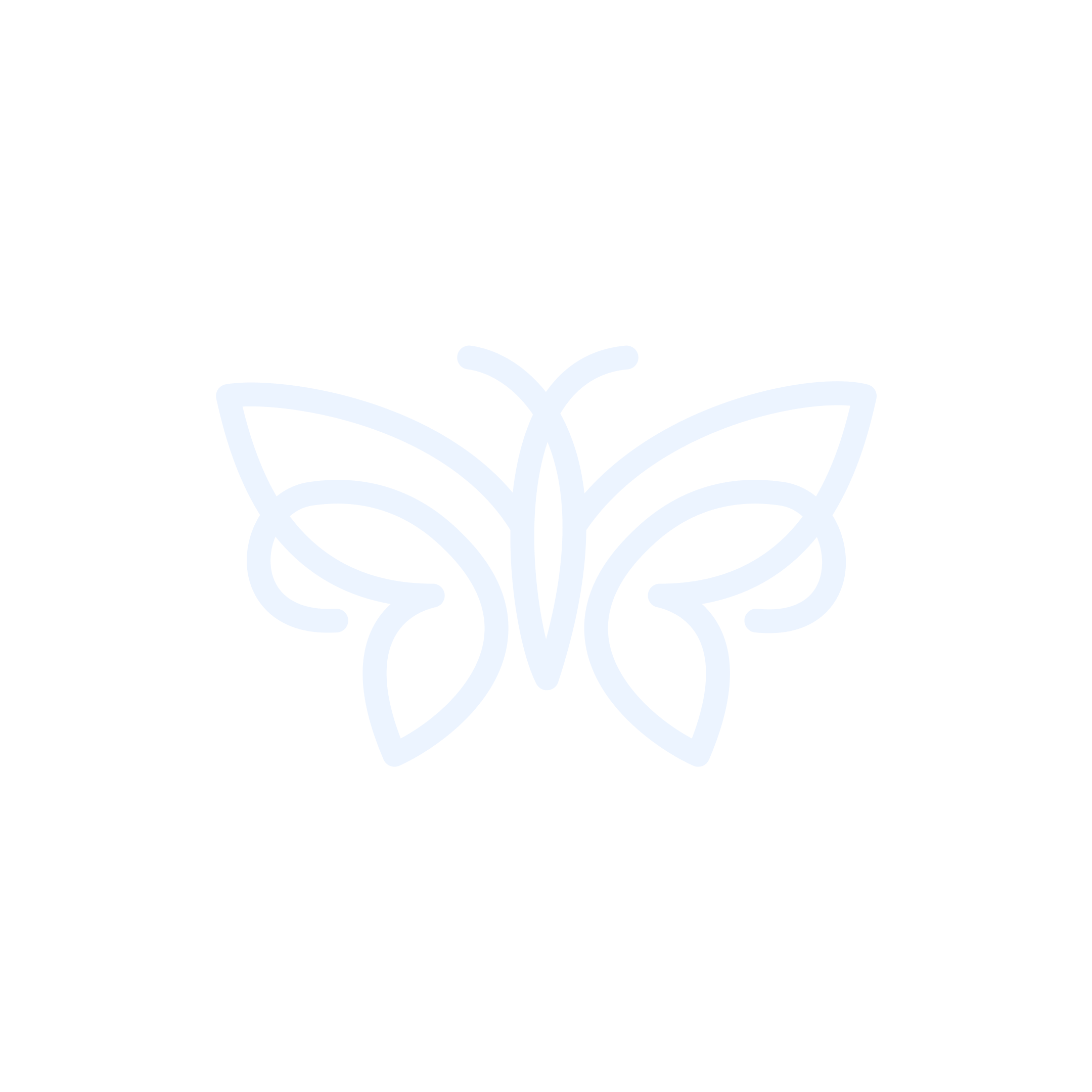 Outline of a butterfly in white on a black background.