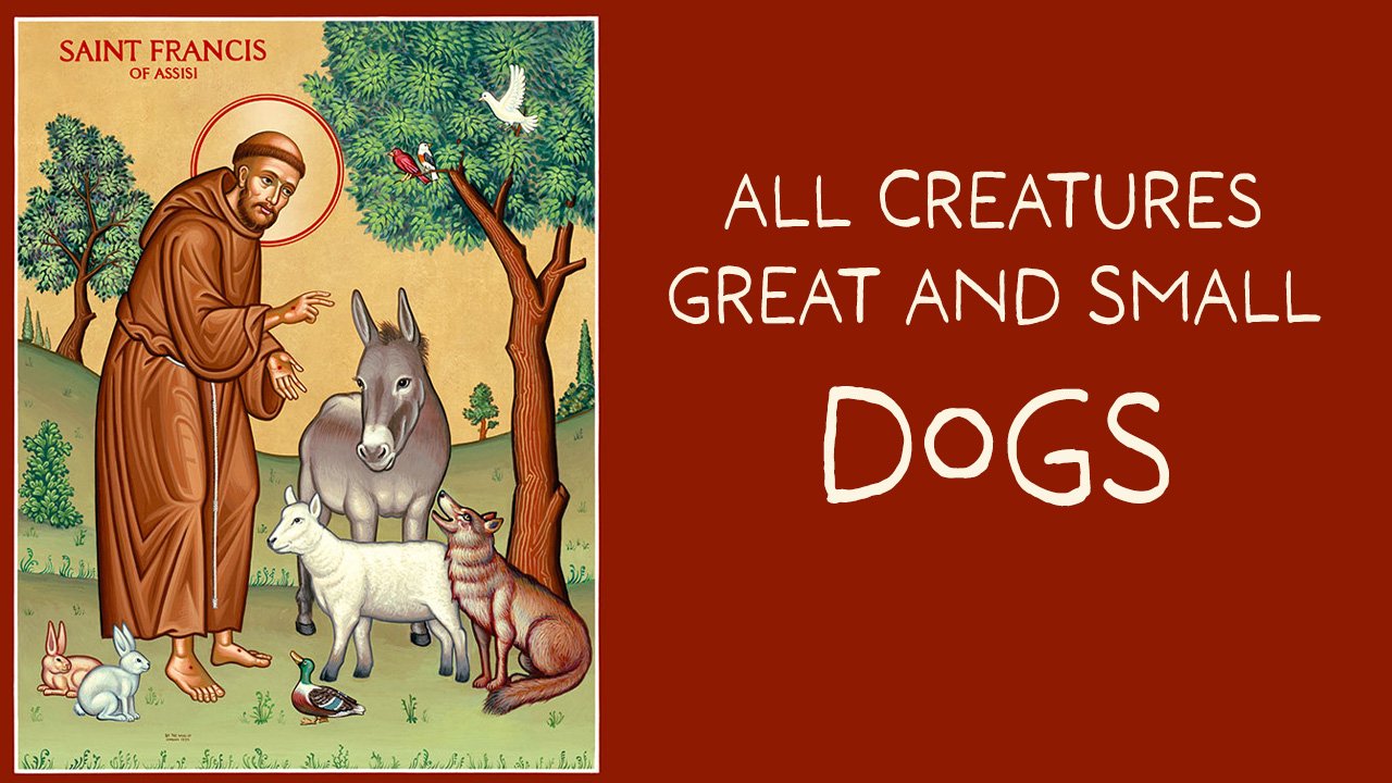 All Creatures Great and Small: Dogs