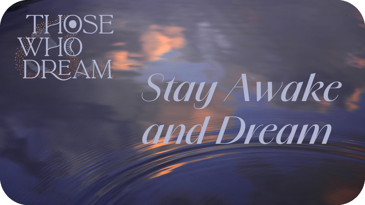 Stay Awake and Dream