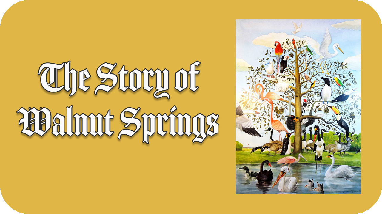 The Story of Walnut Springs