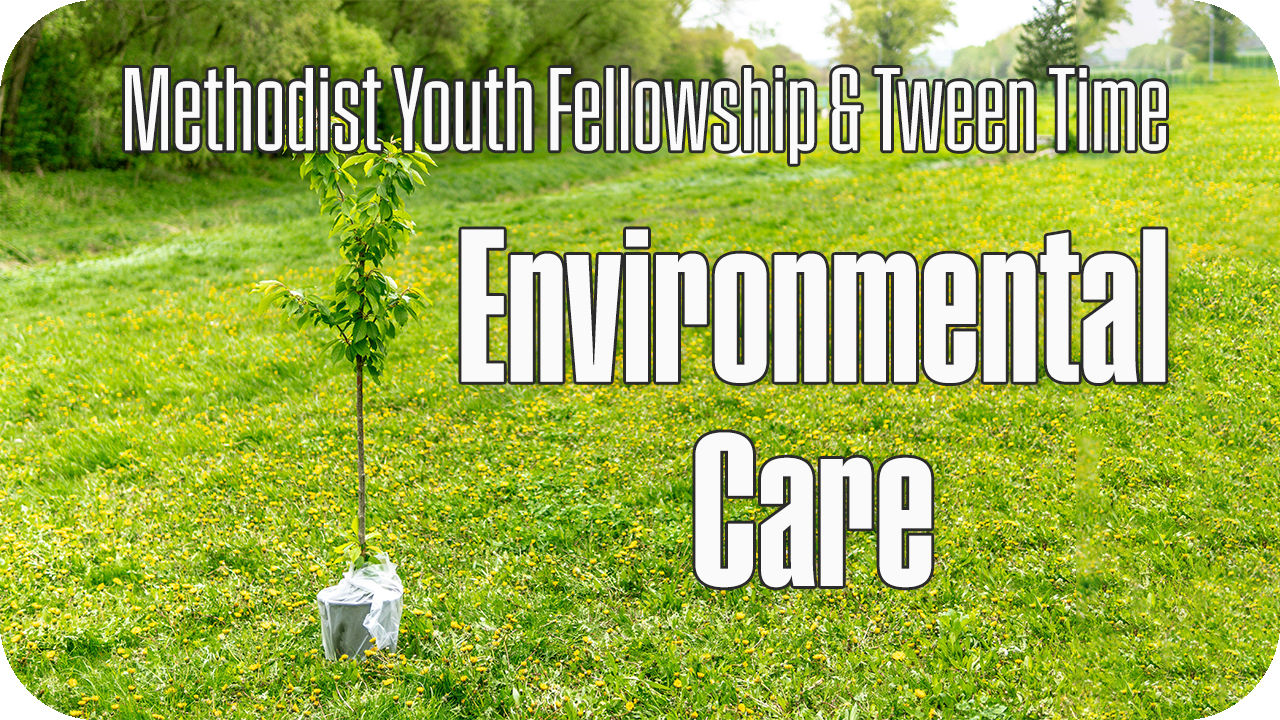 Tween &amp; Youth: Environmental Care