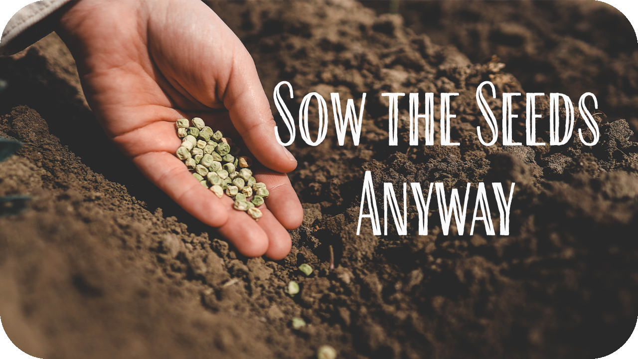 Sow the Seeds Anyway