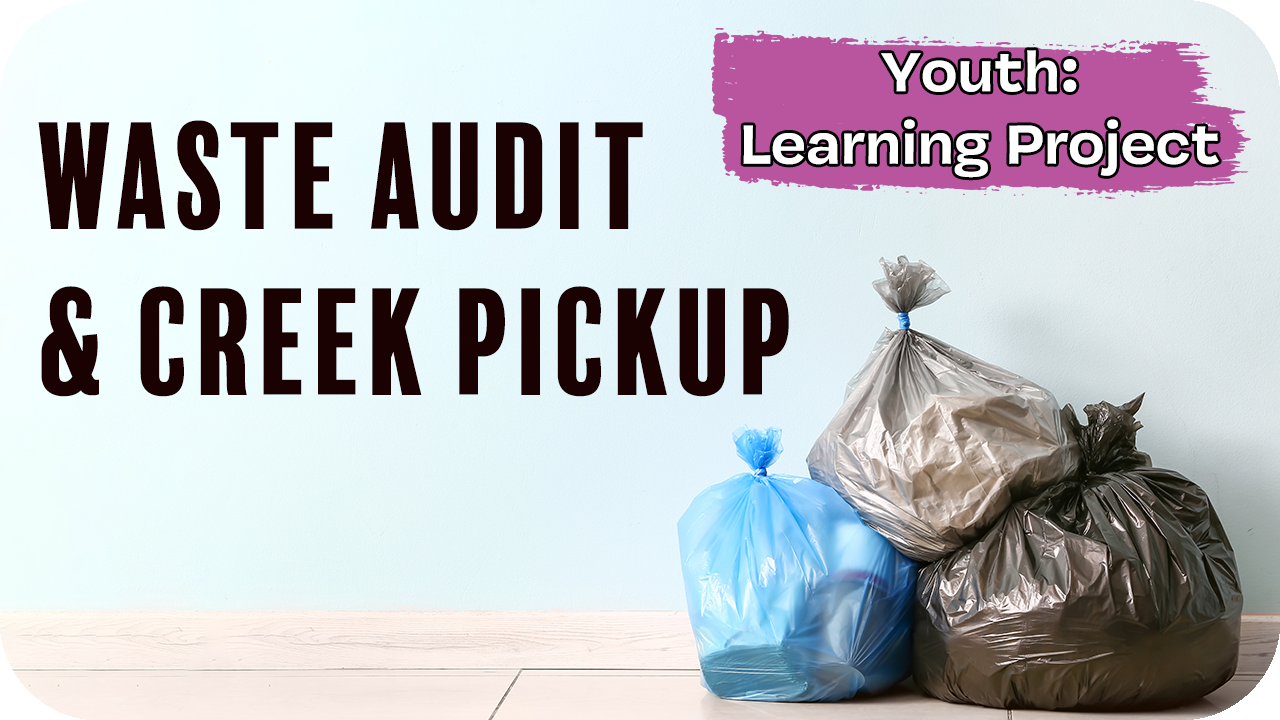 Youth Learning Project: Waste Audit &amp; Creek Pickup