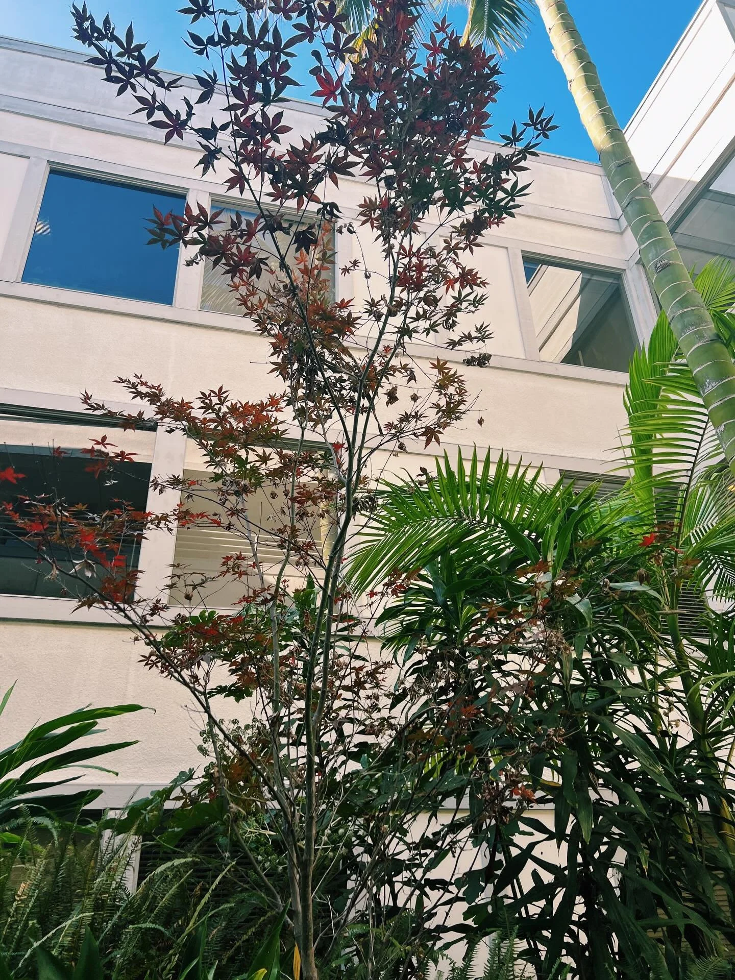 Holiday season feels cozy at TMŪ 🎄&hearts;️ 

I&rsquo;m wrapping up my final work week of 2025. The last day to place orders is Sunday December 21st. Shipping and pickup will resume on January 6th. 

I hope everyone has a restful holiday filled with