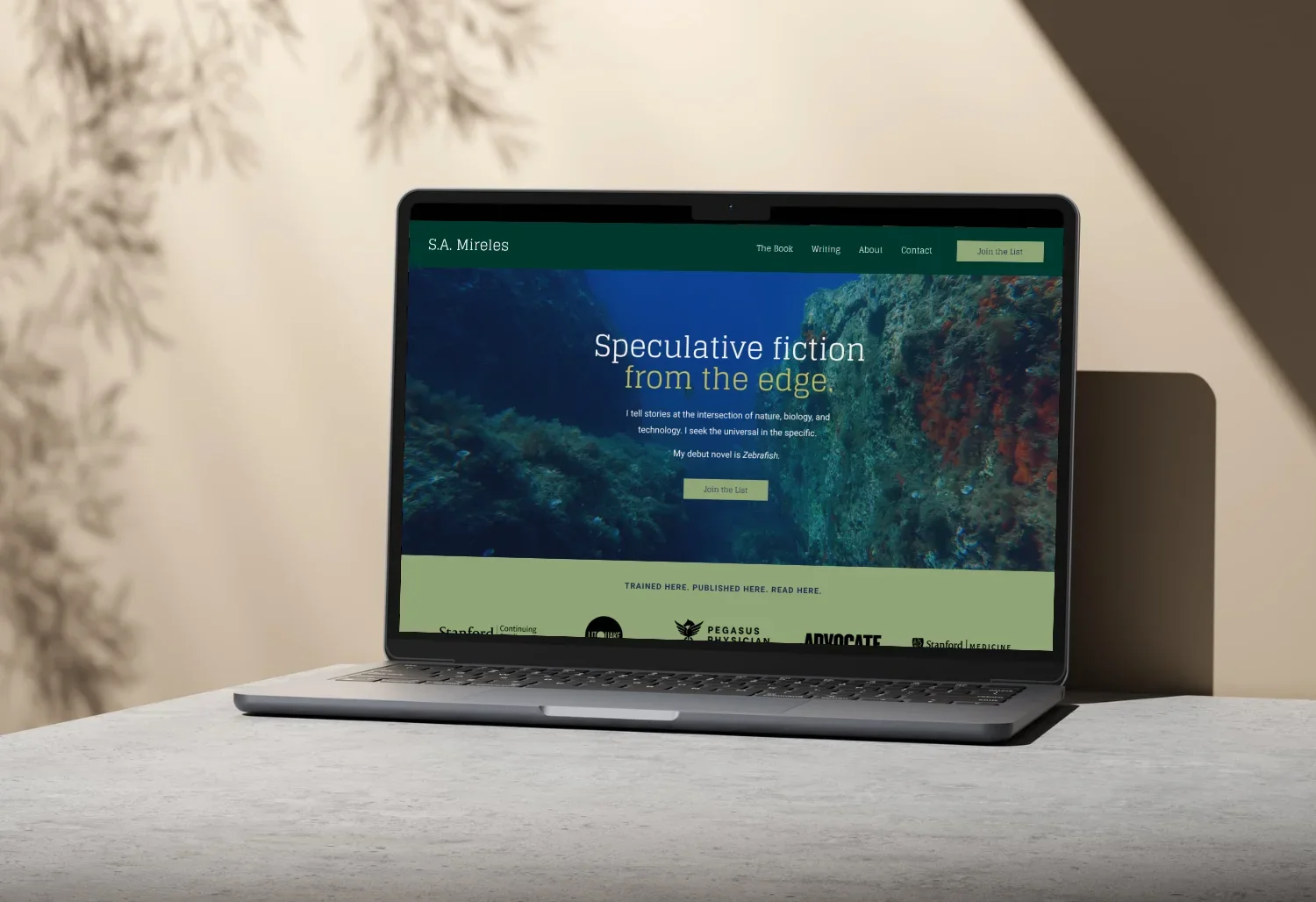 S.A. Mireles author website by WeGo! shown on a laptop