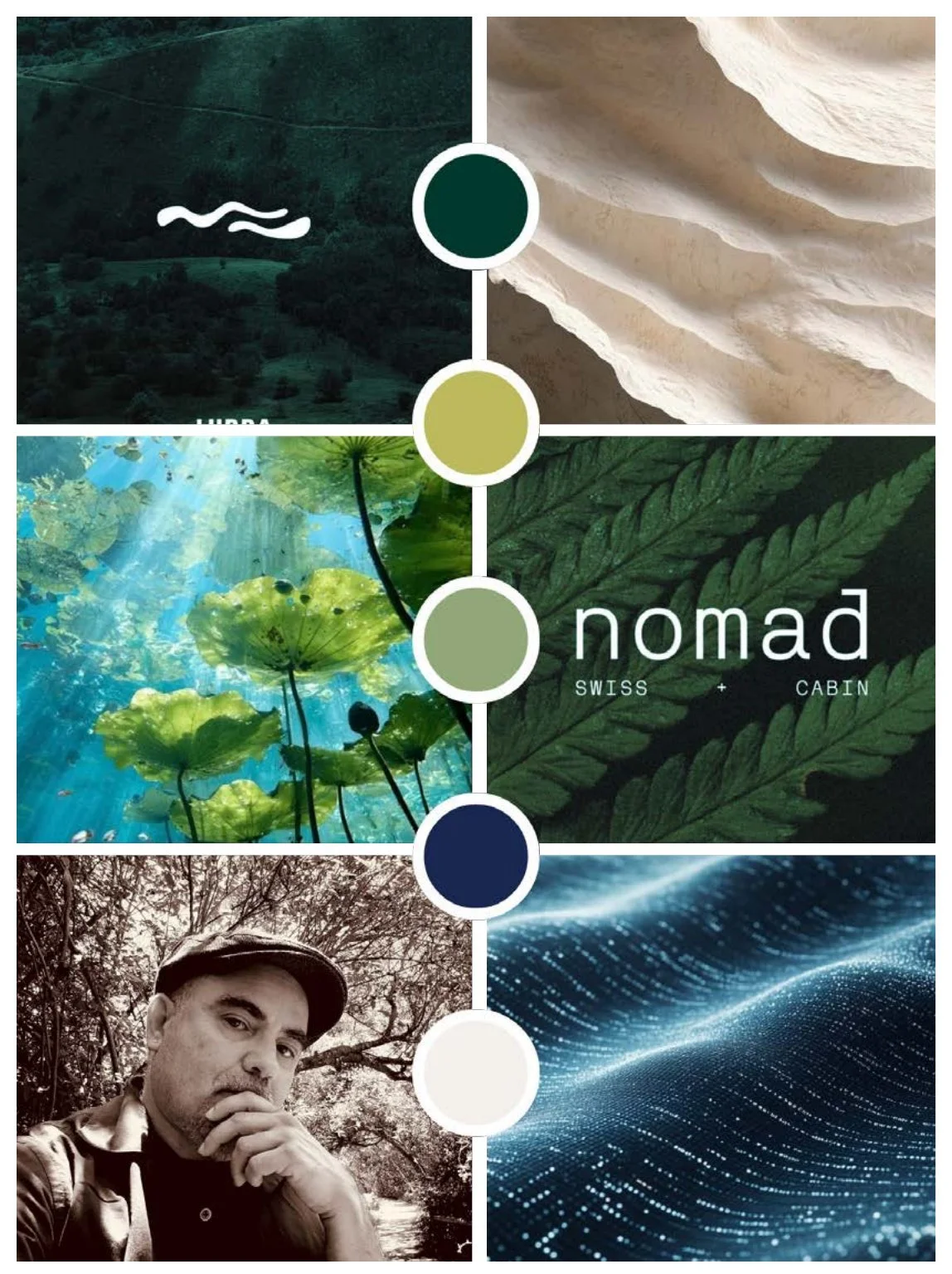 Tidal Circuit design direction mood board for S.A. Mireles: ocean, fern and dune imagery with a green and blue palette