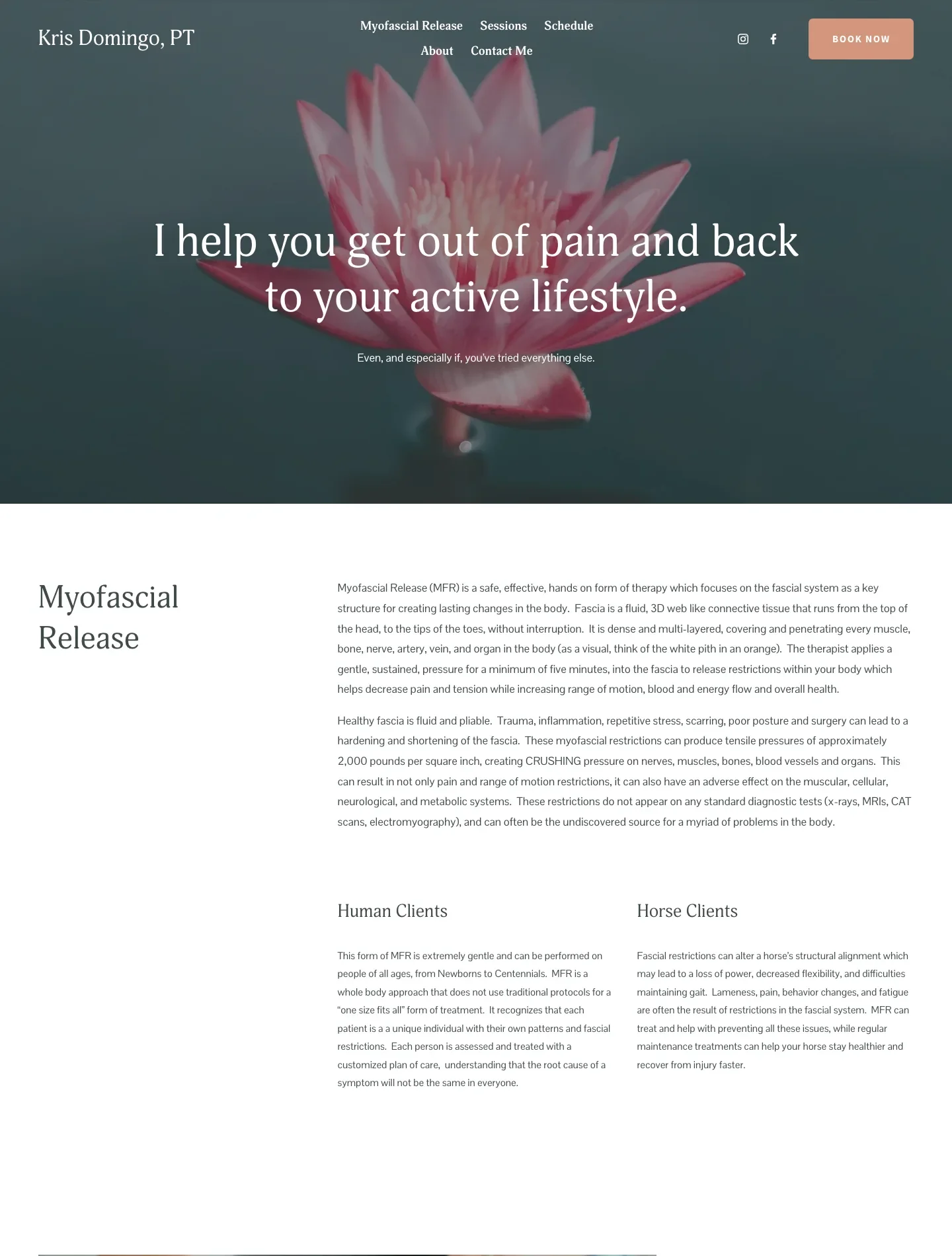 Kris Domingo's old one-page website before the redesign