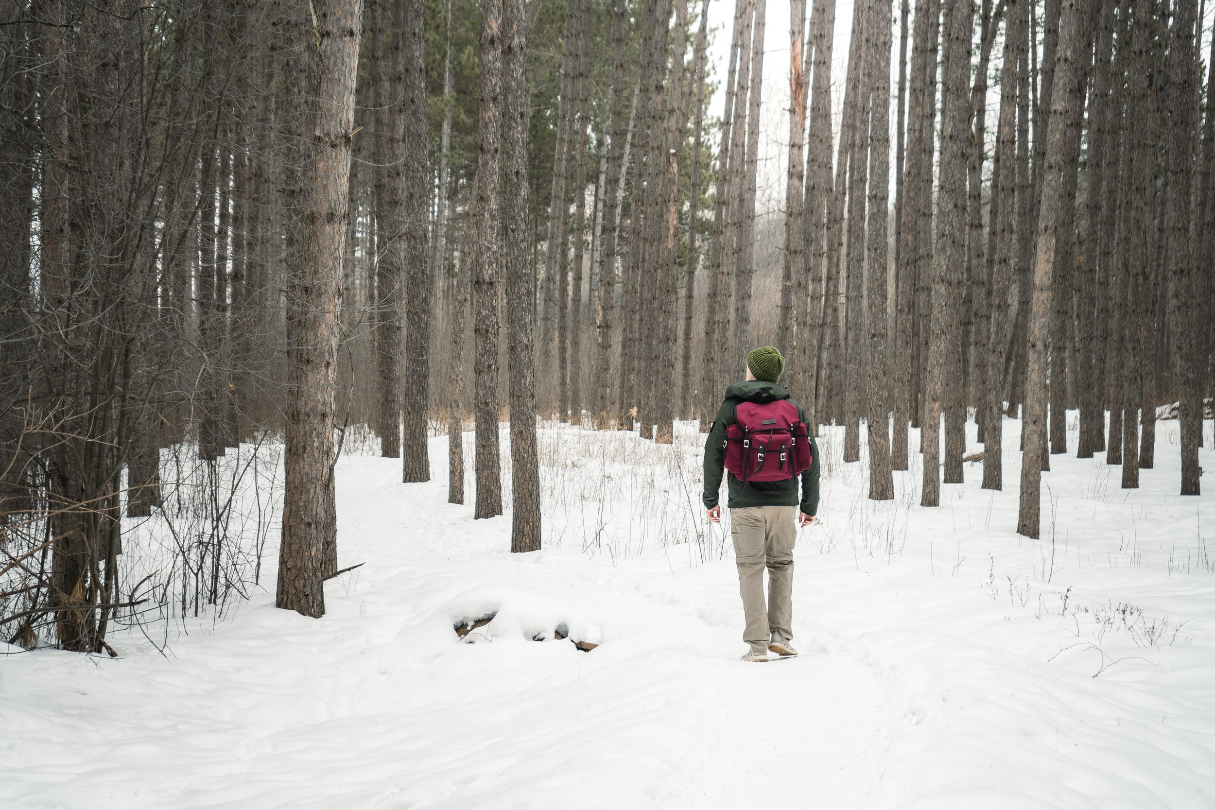 Person wearing a green beanie, black jacket, and khaki pants walking through a snow-covered forest with tall trees and a backpack.