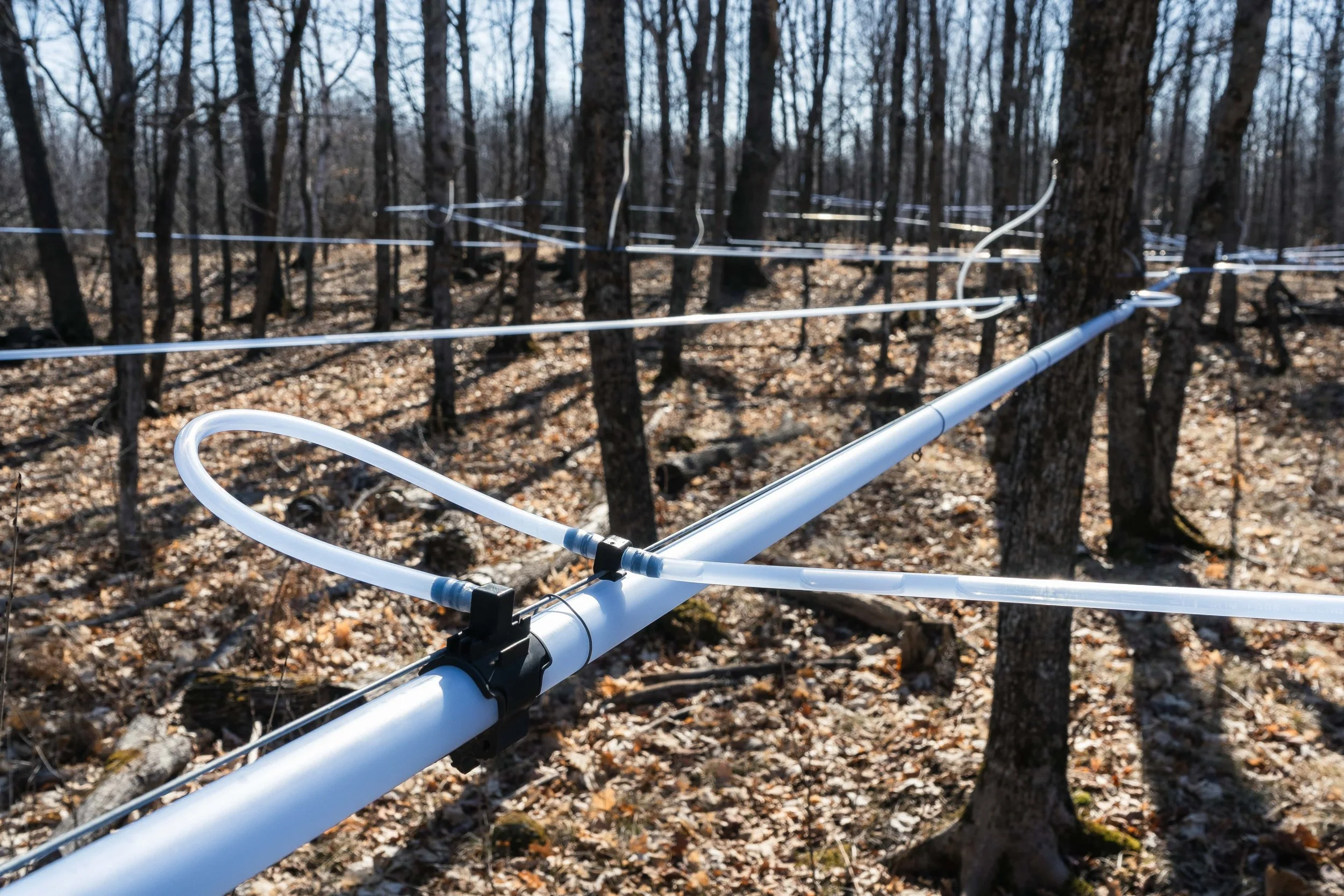 Gavin Weiers Burgess Family Sugarhouse Farm 5 copy-min-min.JPG