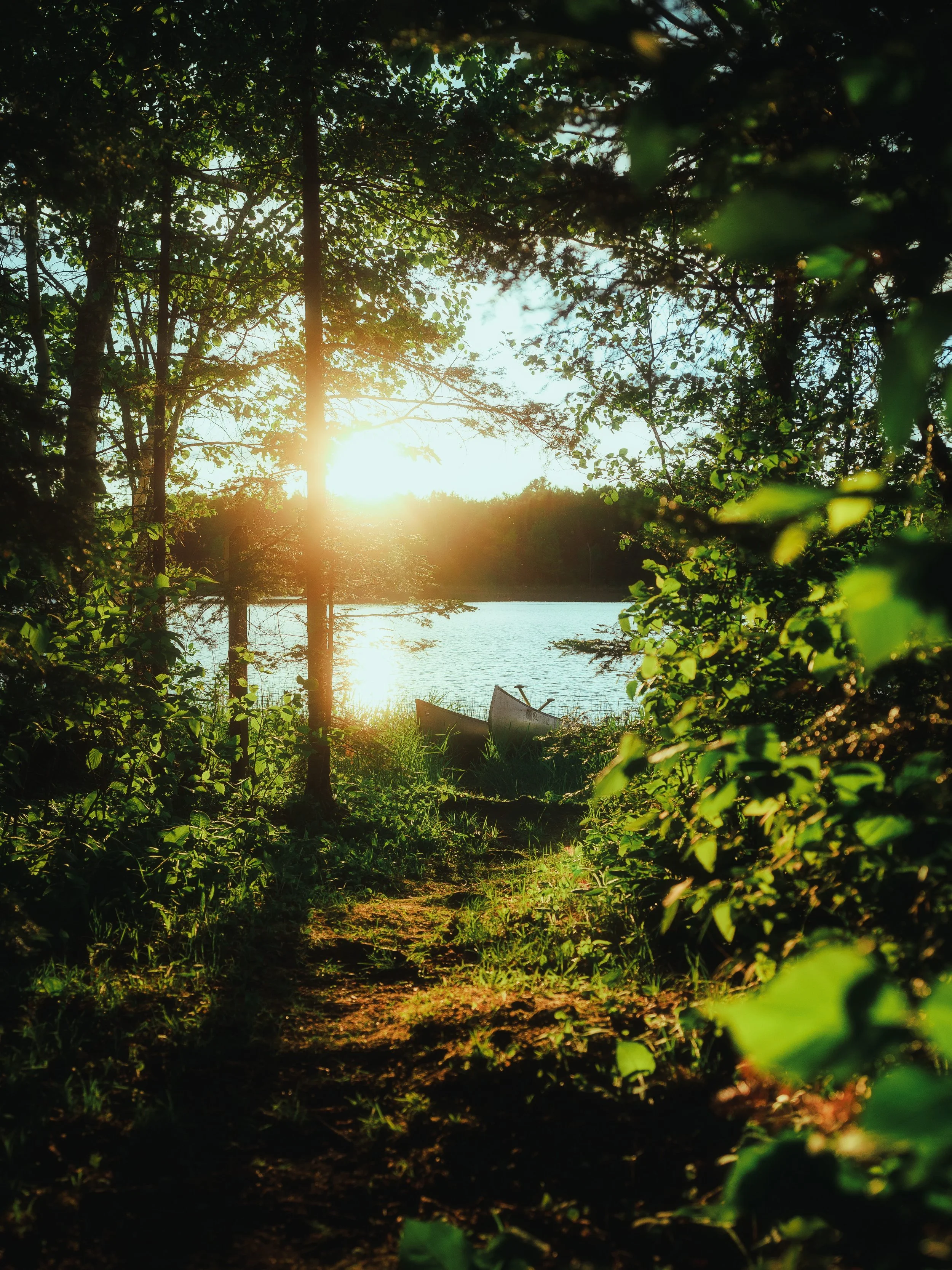 Sunset over a lake, viewed through trees and leaves, with a boat on the shoreline.