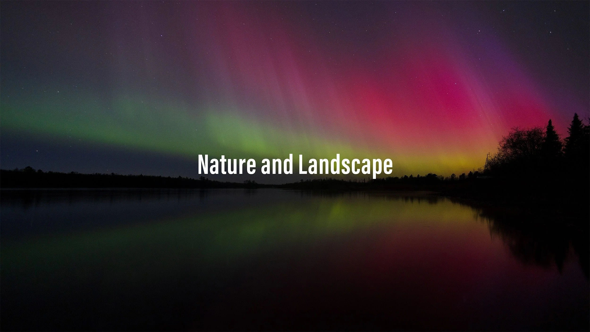 Northern Lights over a calm lake with trees on the horizon, displaying green, pink, and purple hues. The sky is clear with visible stars, and the scene is tranquil and scenic.