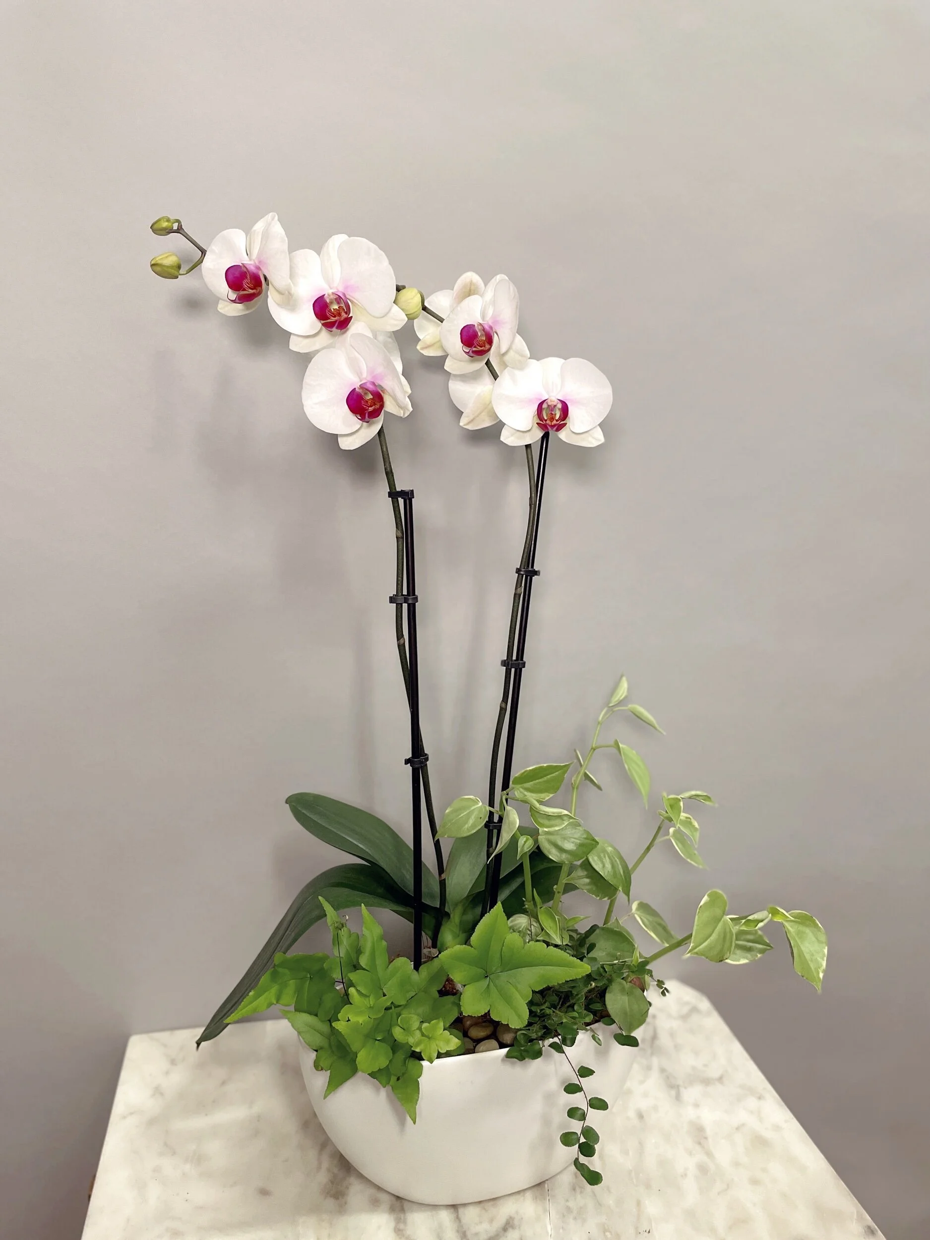 206871C0-7C21-4AE9-B6FD-B3654FB440C1