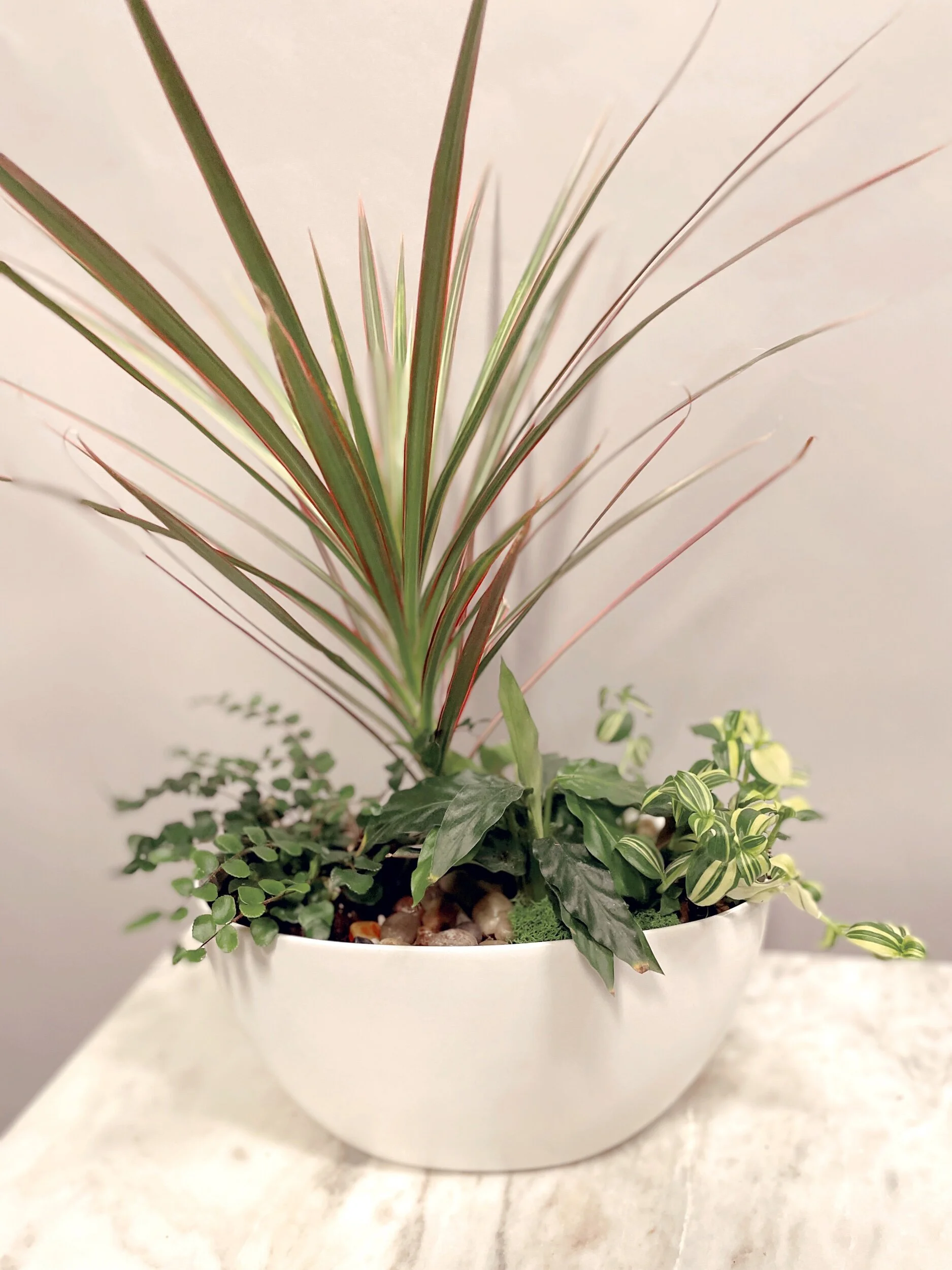 C6304799-3E37-4857-AA09-6C81B53BB6CA