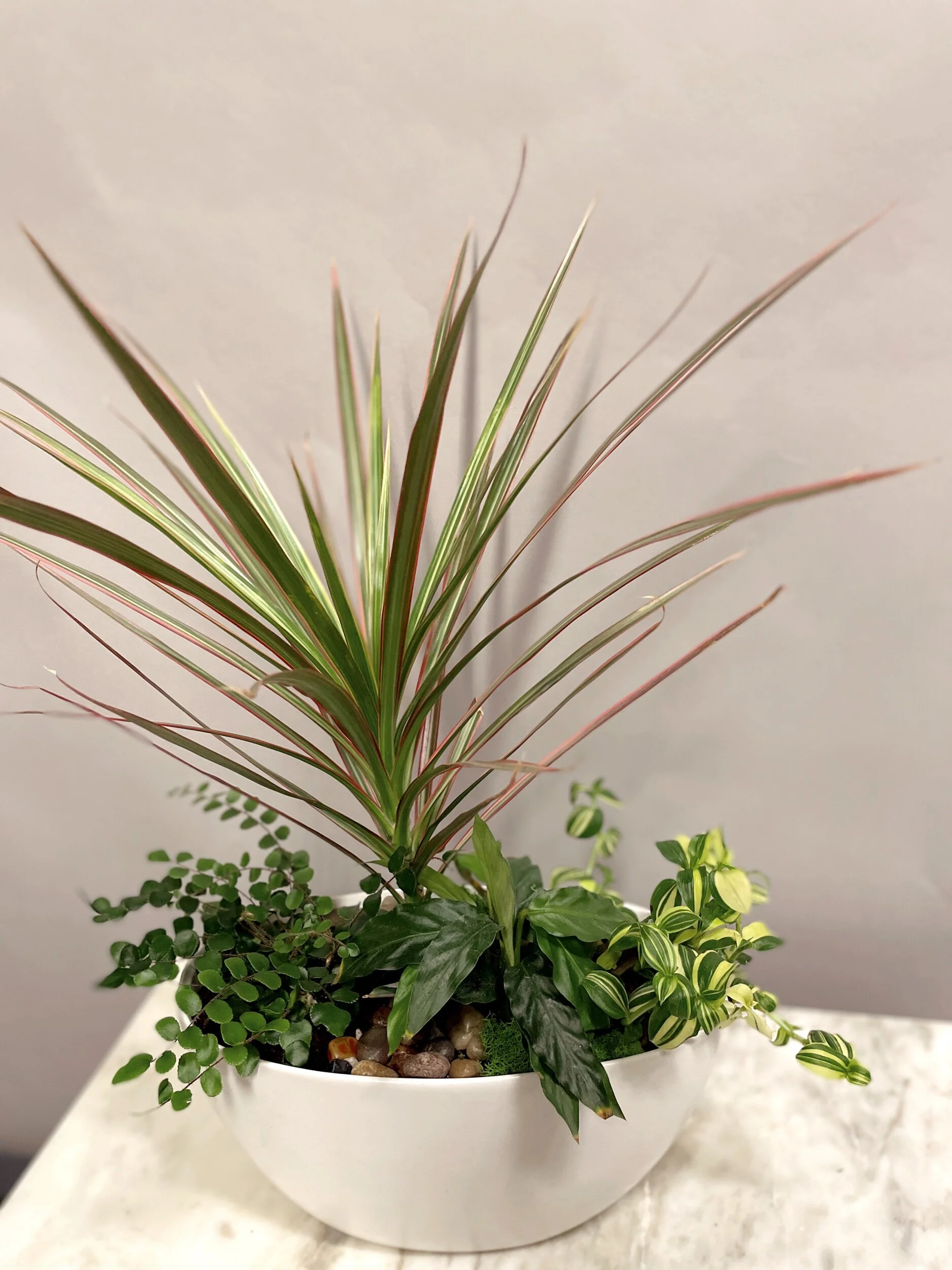 26BBF620-4801-45A3-B8C9-4EB81AAB43DC