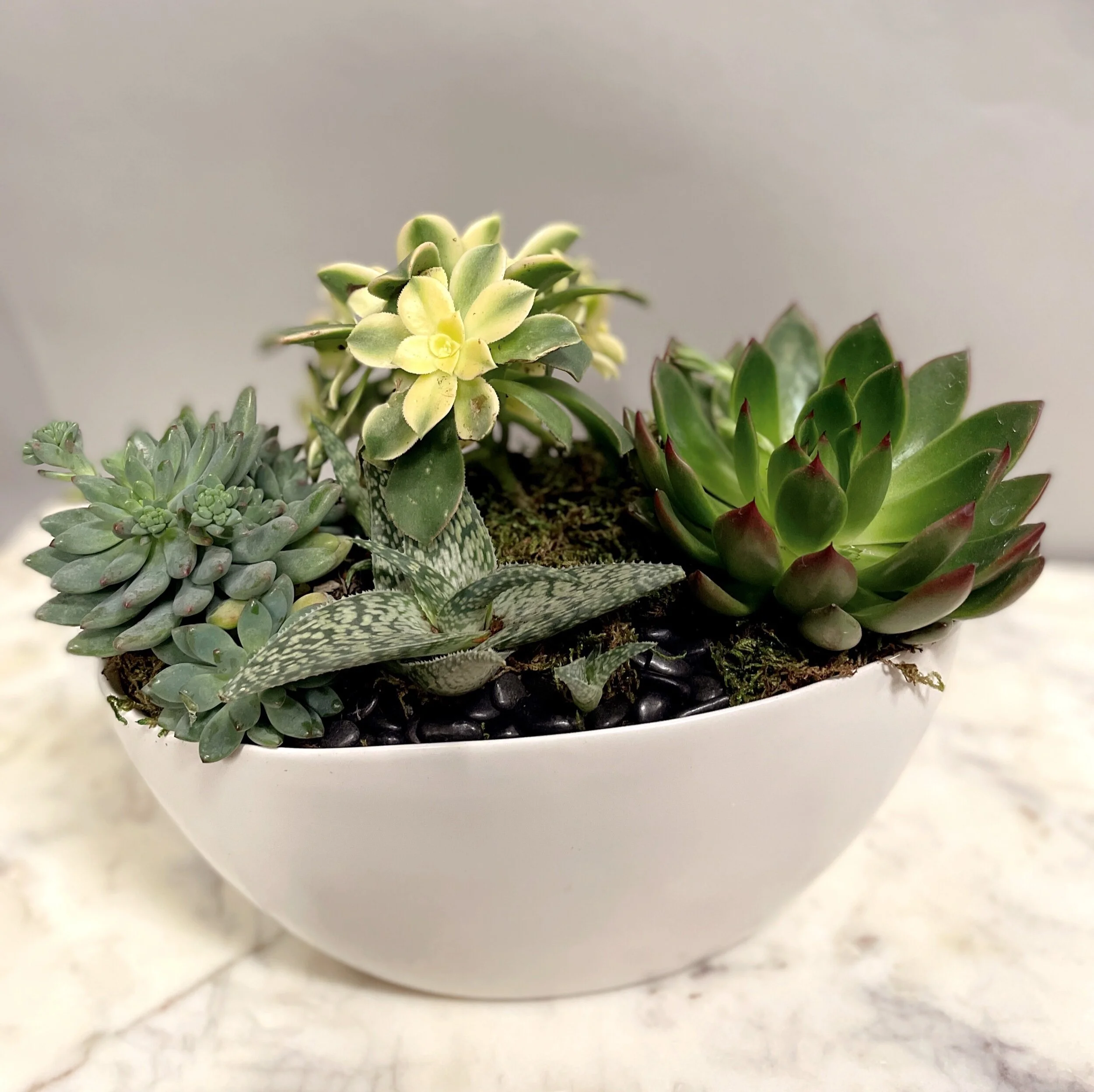 FE886D3C-00EF-41A6-B731-FF77C2BD848F